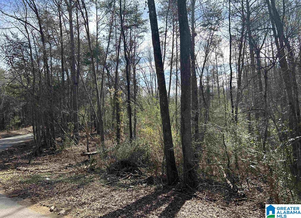 Homes for sale in Columbiana, AL | 0 Hwy 315, Columbiana, AL 35051 | MLS# 21423713