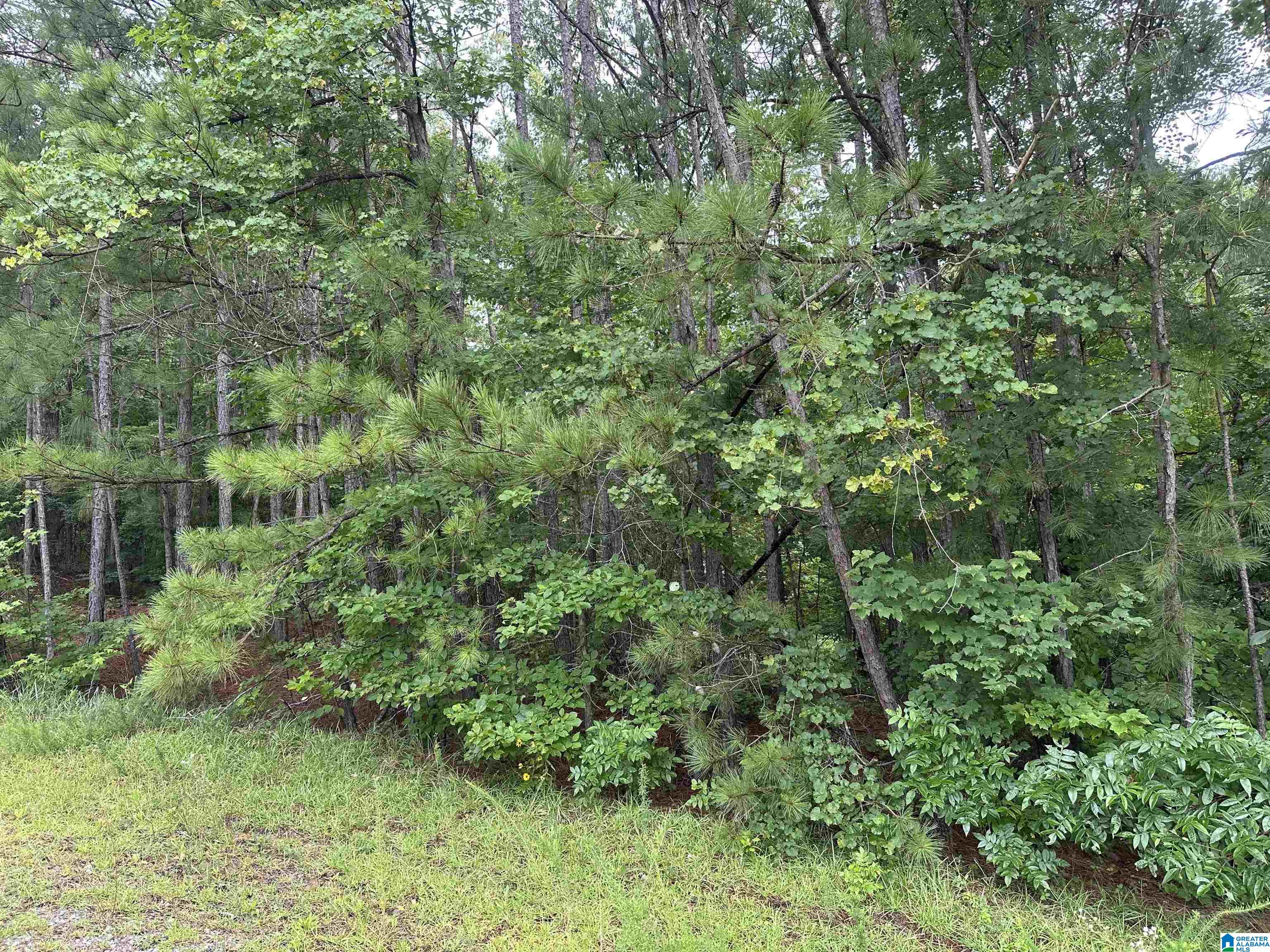 Homes for sale in West Blocton, AL | Pine View Dr, West Blocton, AL 35184 | MLS# 21423722