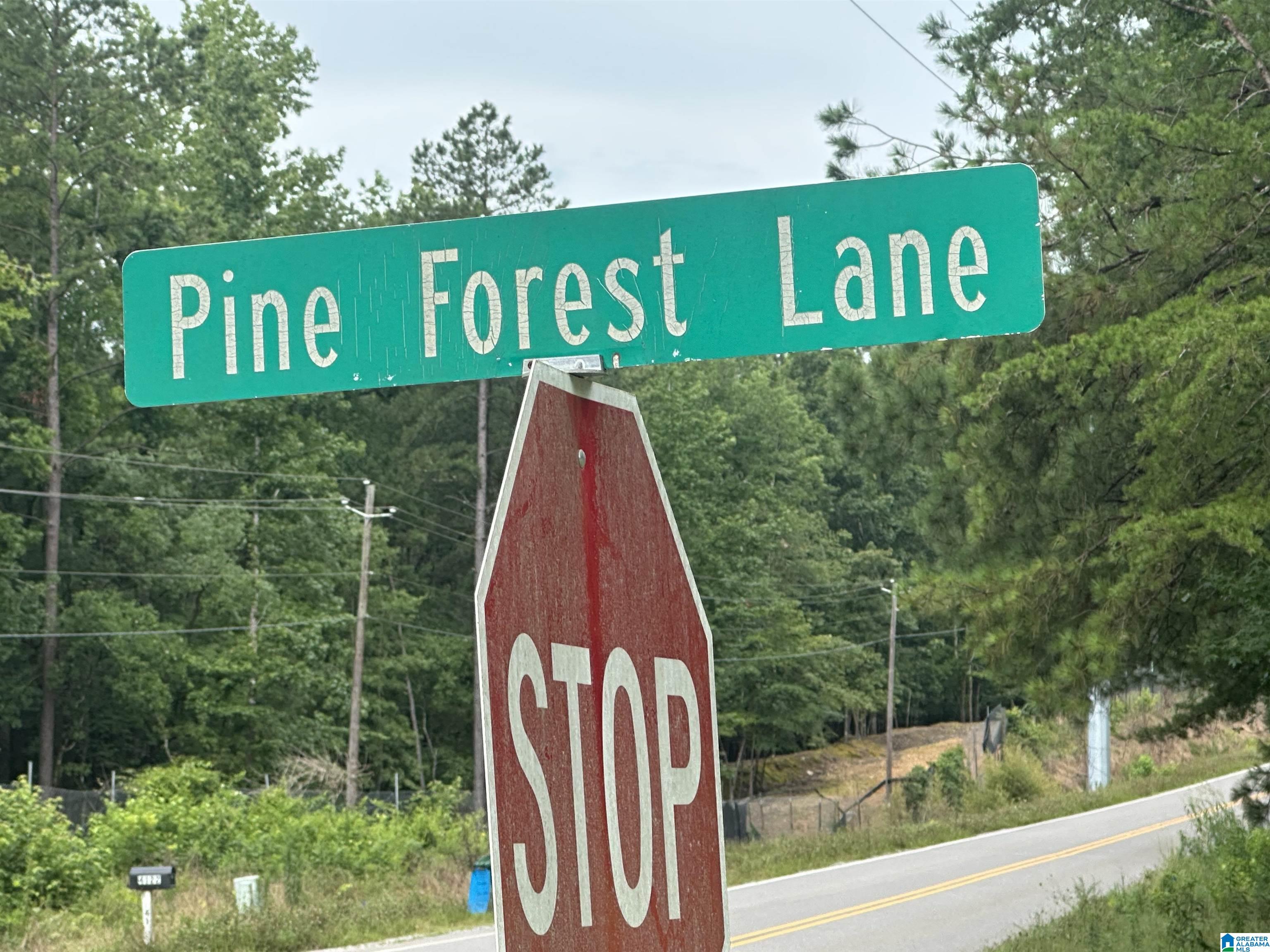 Homes for sale in West Blocton, AL | Pine View Dr, West Blocton, AL 35184 | MLS# 21423722