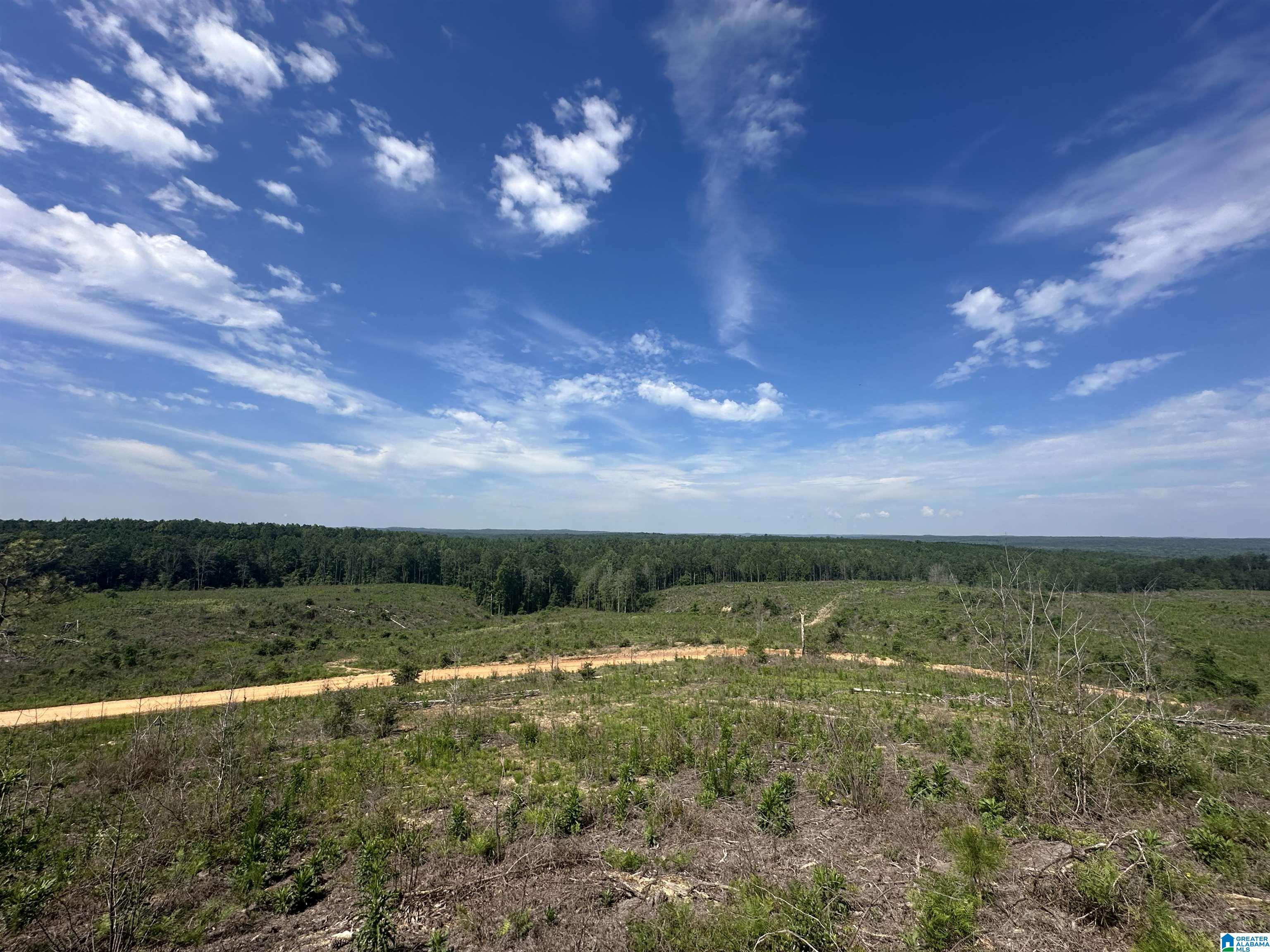 Homes for sale in Maplesville, AL | 0 County Road 305, Maplesville, AL 36750 | MLS# 21423953