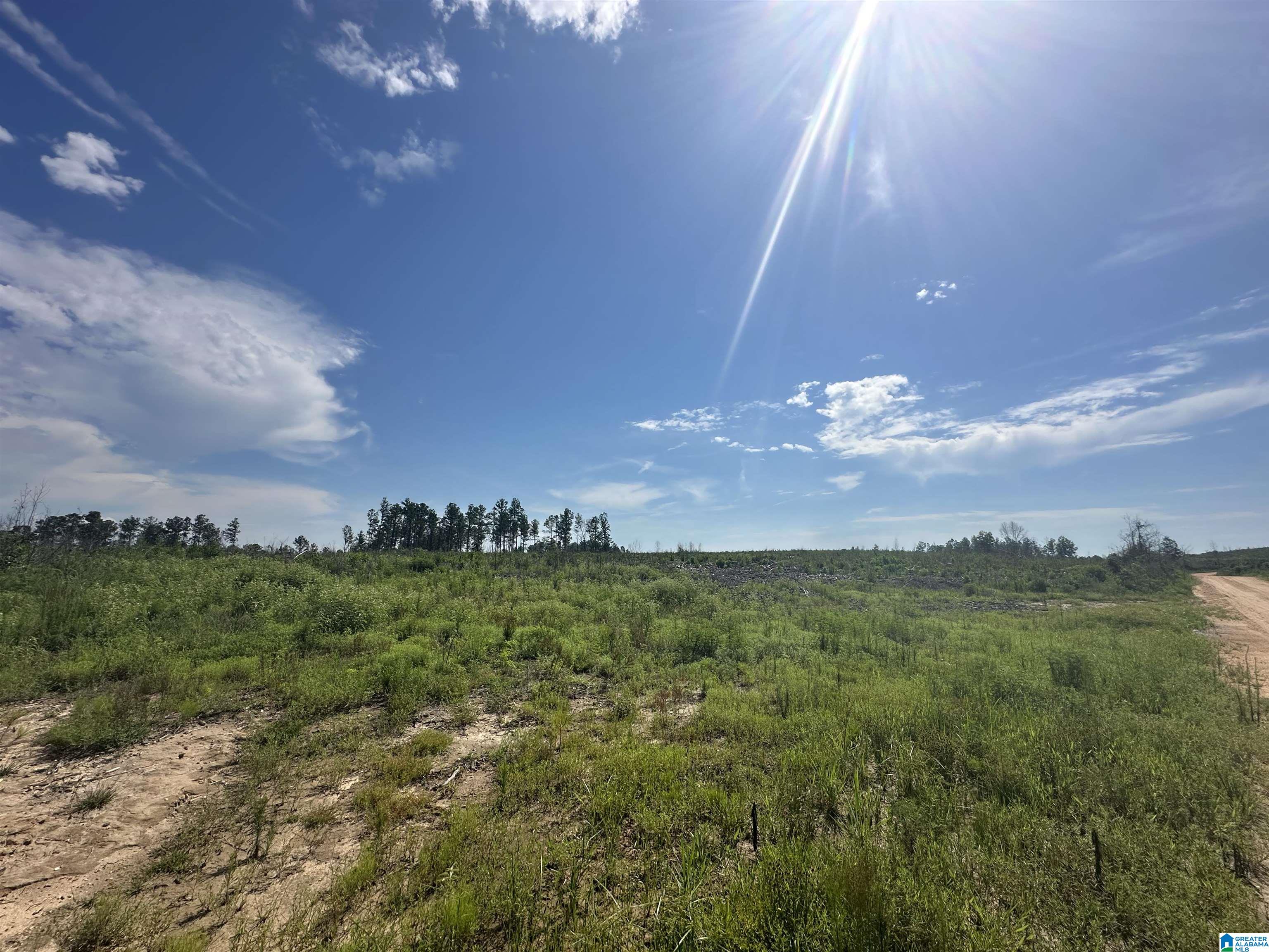 Homes for sale in Maplesville, AL | 0 County Road 305, Maplesville, AL 36750 | MLS# 21423953