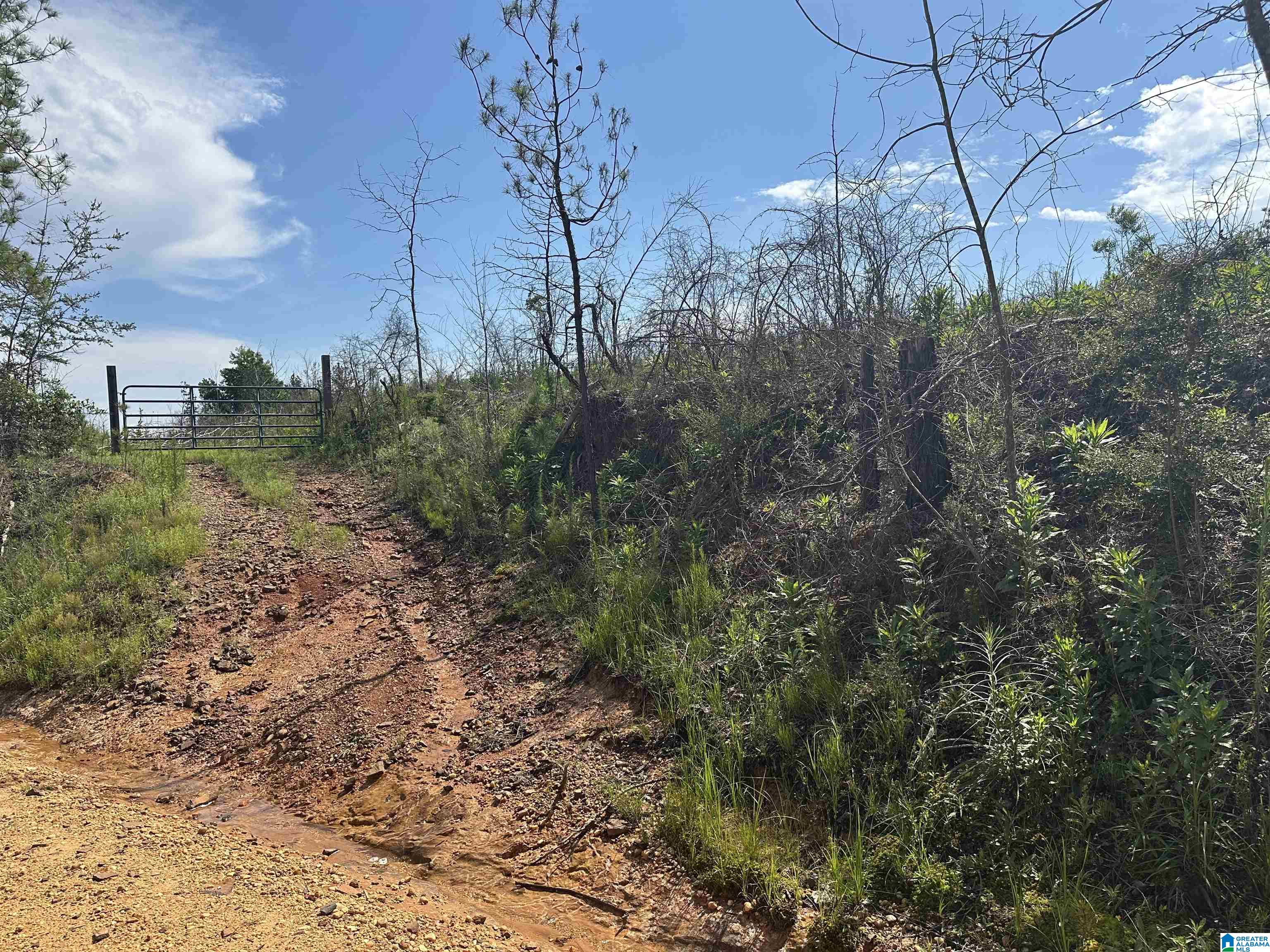 Homes for sale in Maplesville, AL | 0 County Road 305, Maplesville, AL 36750 | MLS# 21423953