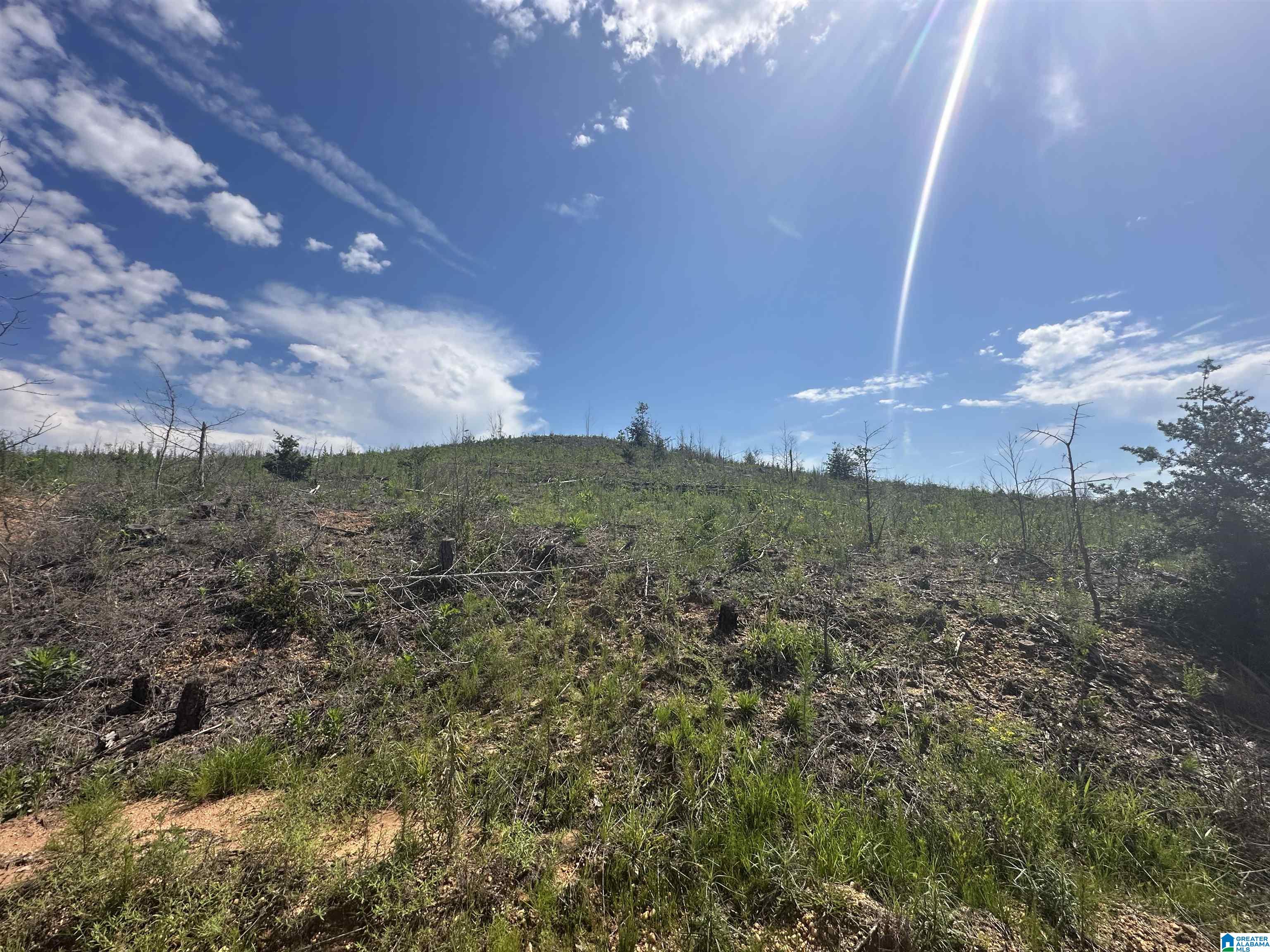 Homes for sale in Maplesville, AL | 0 County Road 305, Maplesville, AL 36750 | MLS# 21423953