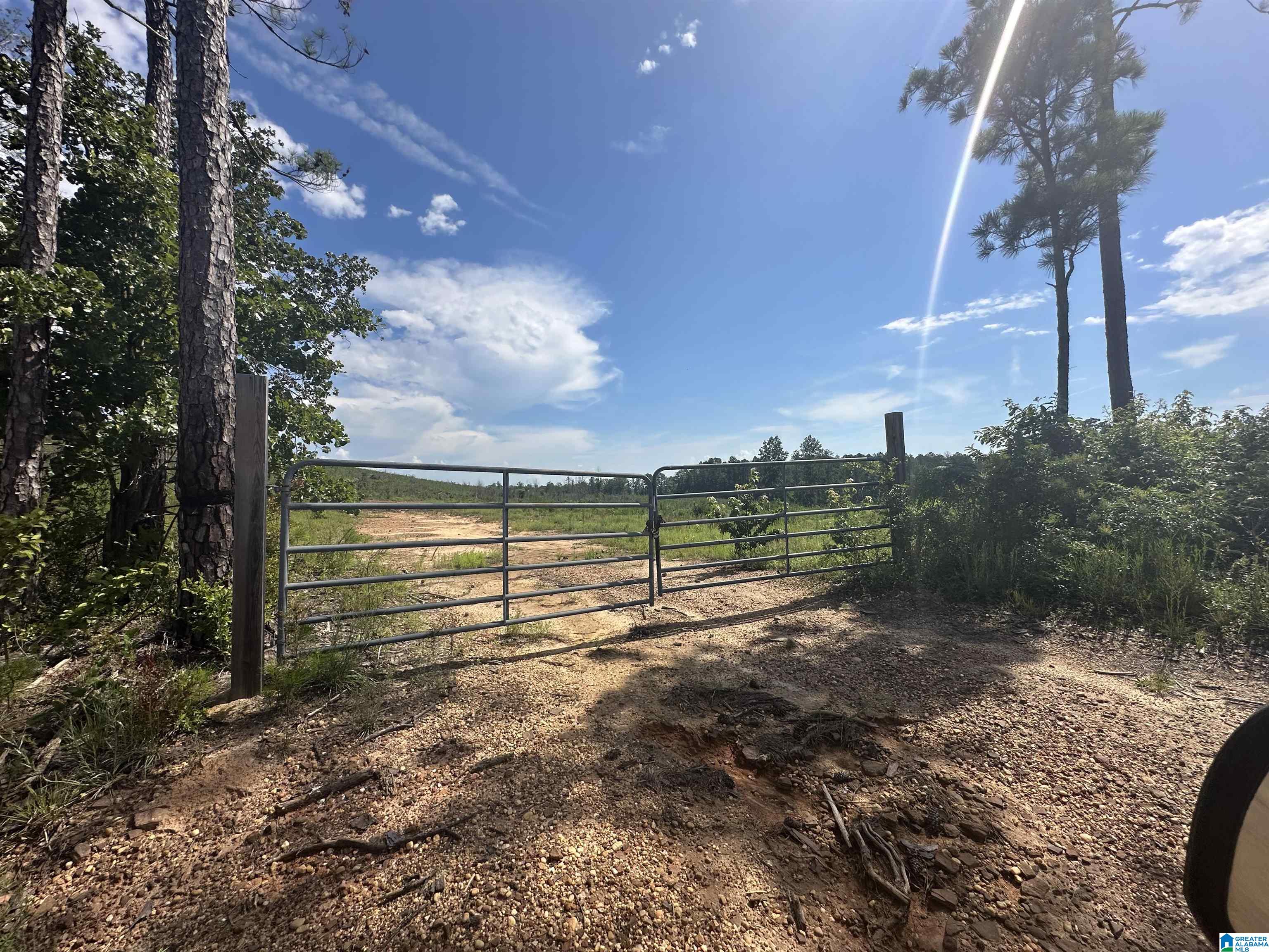 Homes for sale in Maplesville, AL | 0 County Road 305, Maplesville, AL 36750 | MLS# 21423953