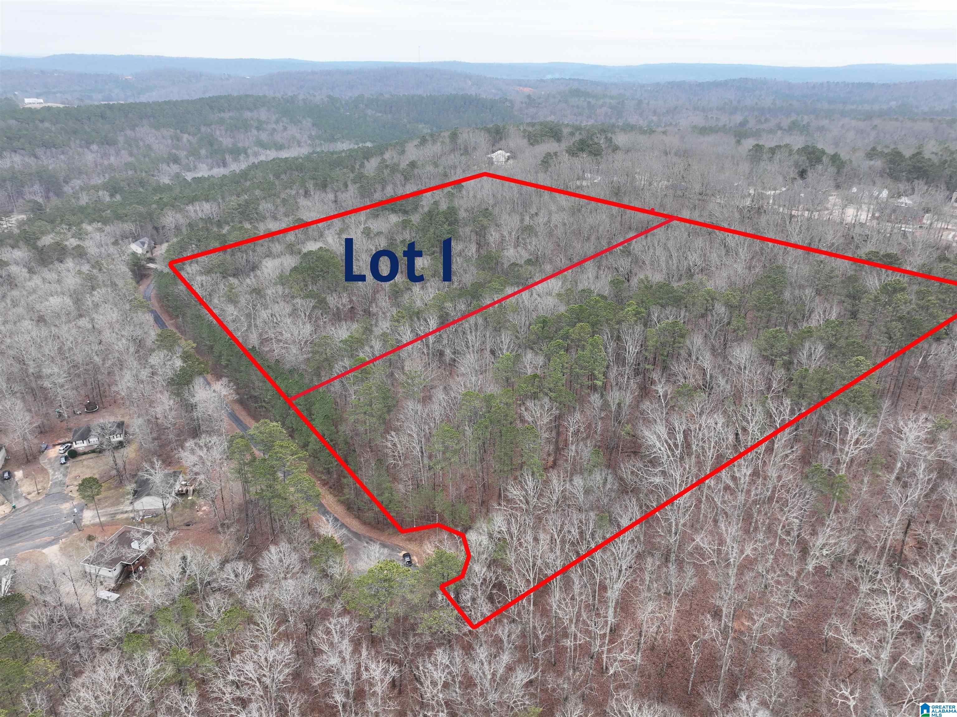 Homes for sale in Odenville, AL | Lot 1 Henderson Road, Odenville, AL 35120 | MLS# 21424096