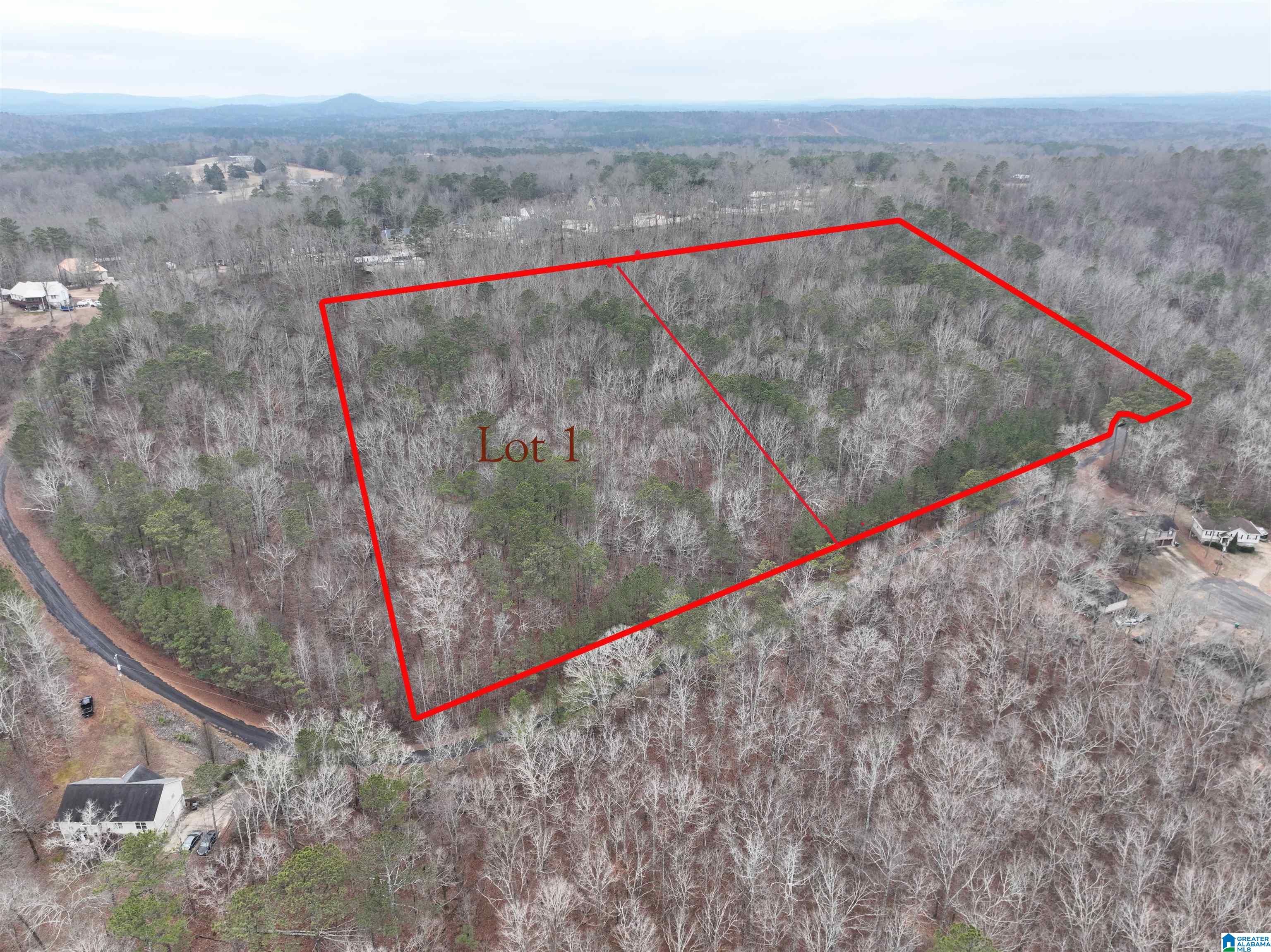 Homes for sale in Odenville, AL | Lot 1 Henderson Road, Odenville, AL 35120 | MLS# 21424096