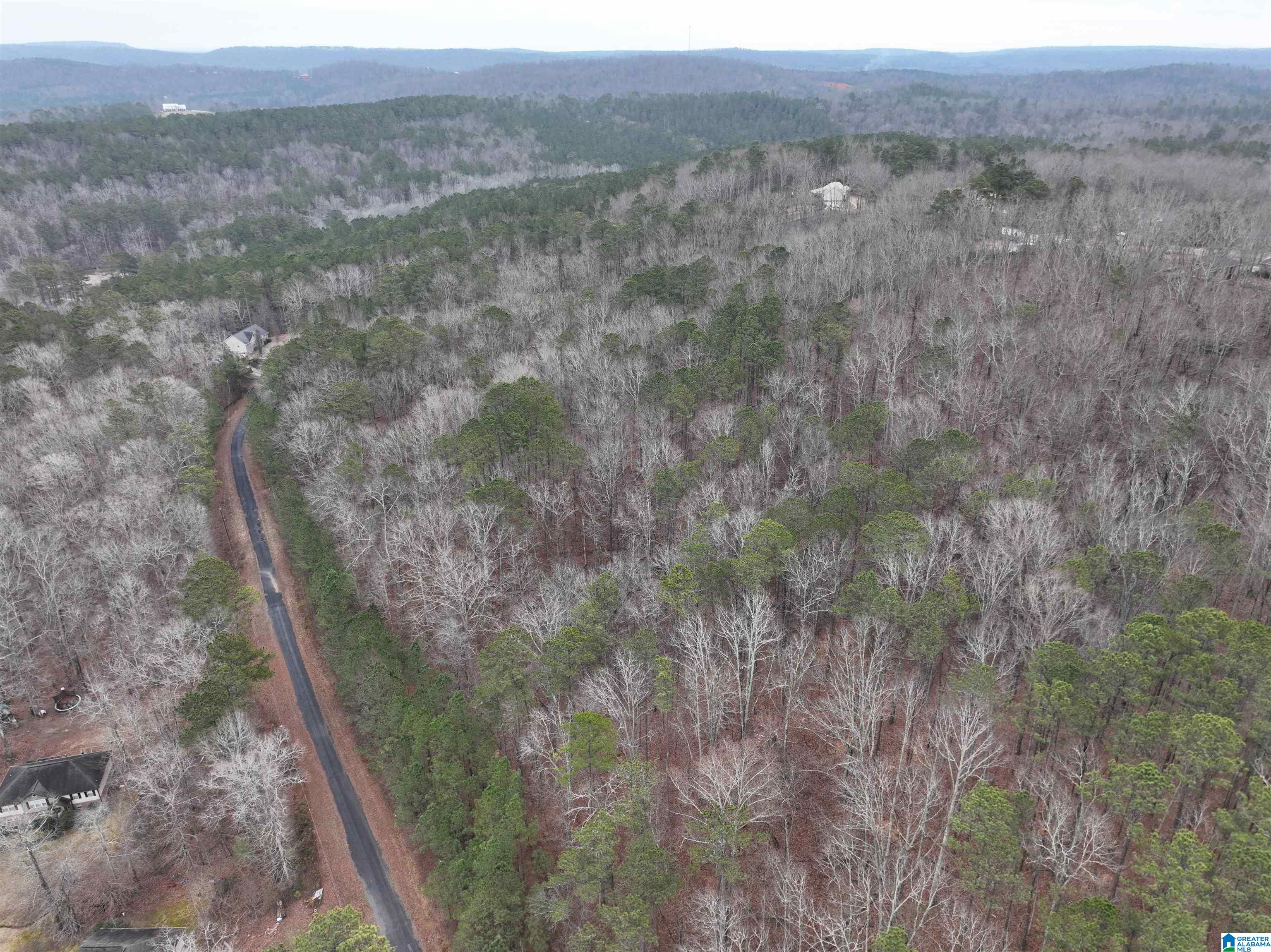 Homes for sale in Odenville, AL | Lot 1 Henderson Road, Odenville, AL 35120 | MLS# 21424096