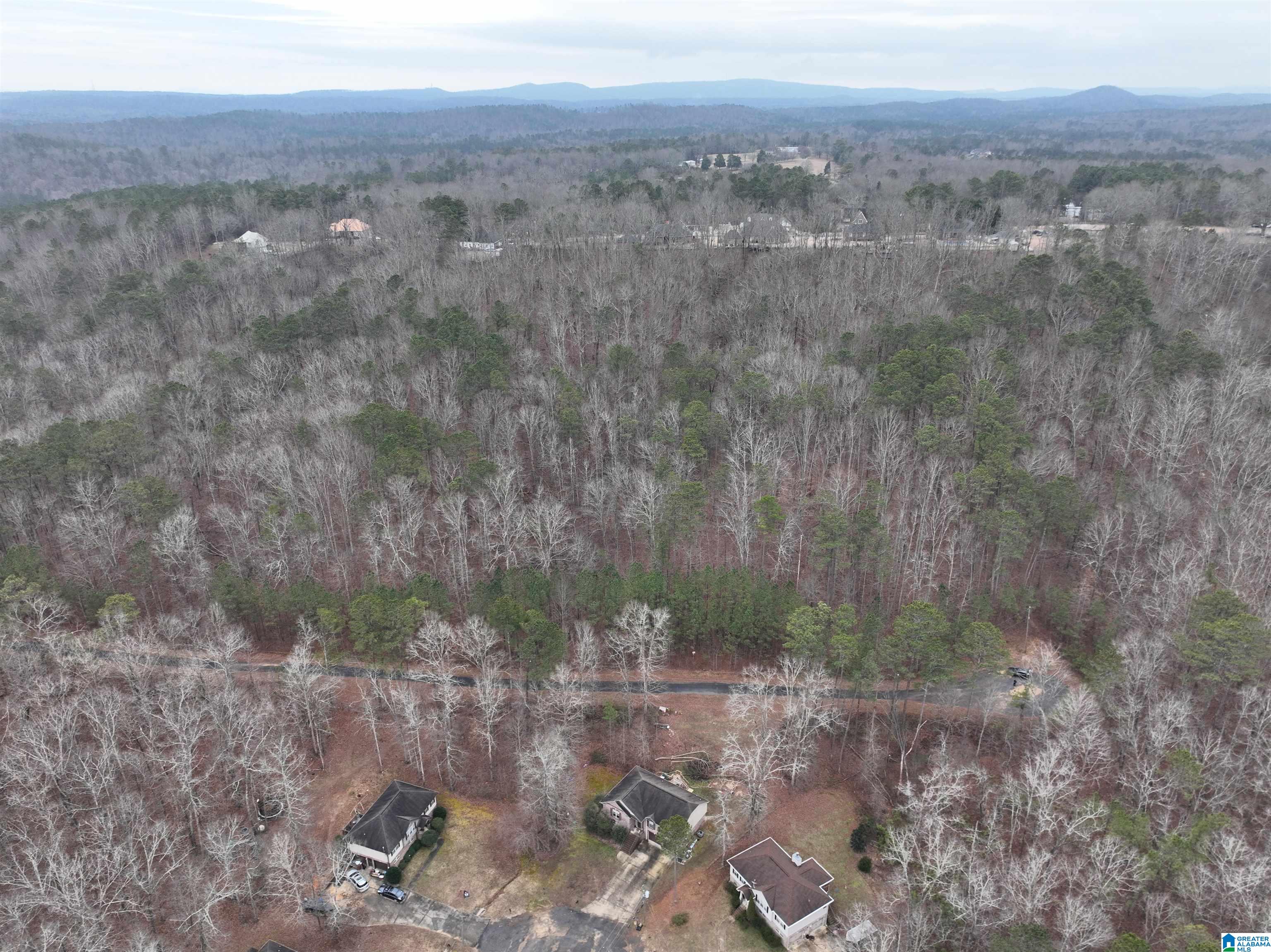 Homes for sale in Odenville, AL | Lot 2 Henderson Road, Odenville, AL 35120 | MLS# 21424097