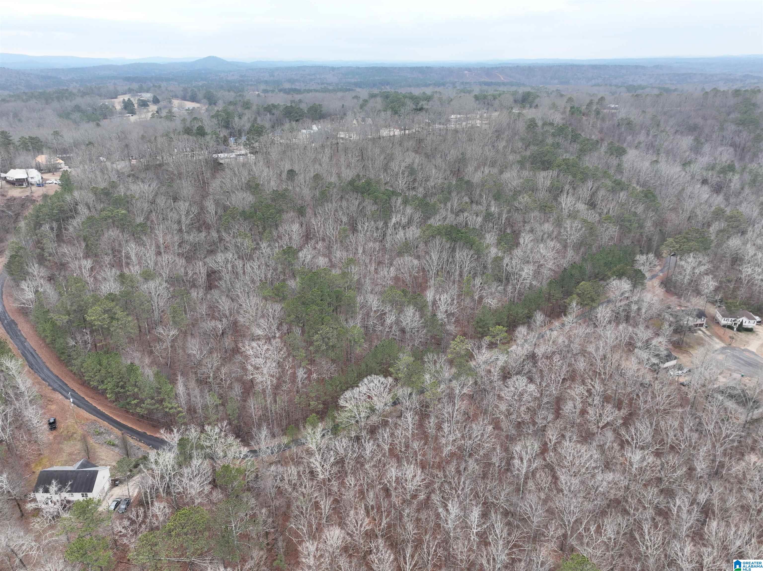 Homes for sale in Odenville, AL | Lot 2 Henderson Road, Odenville, AL 35120 | MLS# 21424097