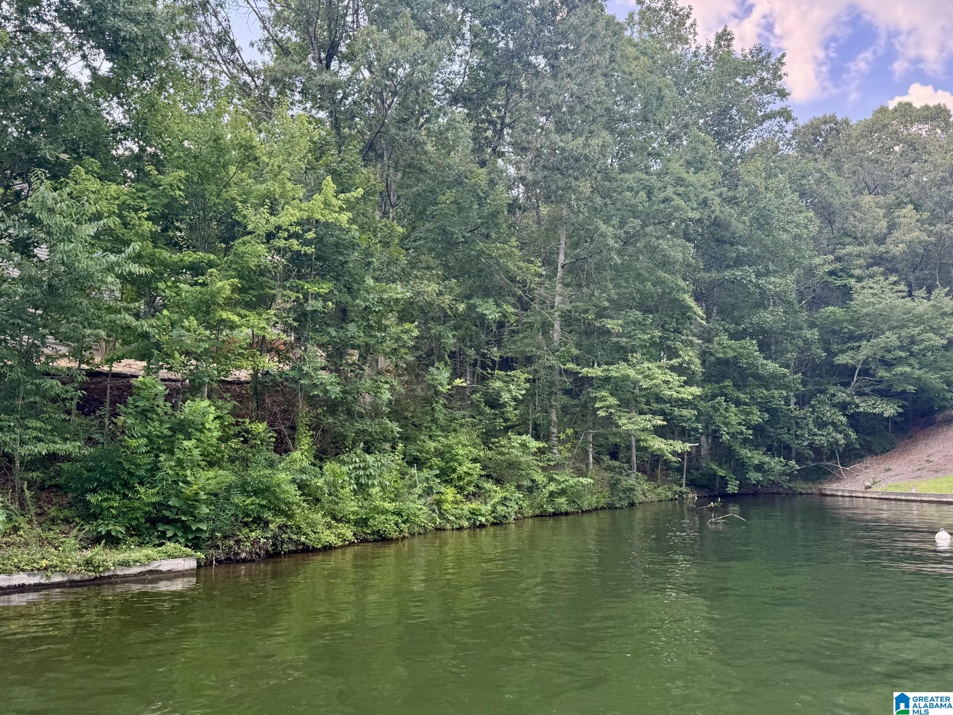 Homes for sale in Wedowee, AL | 0 County Road 897, Wedowee, AL 36278 | MLS# 21424192