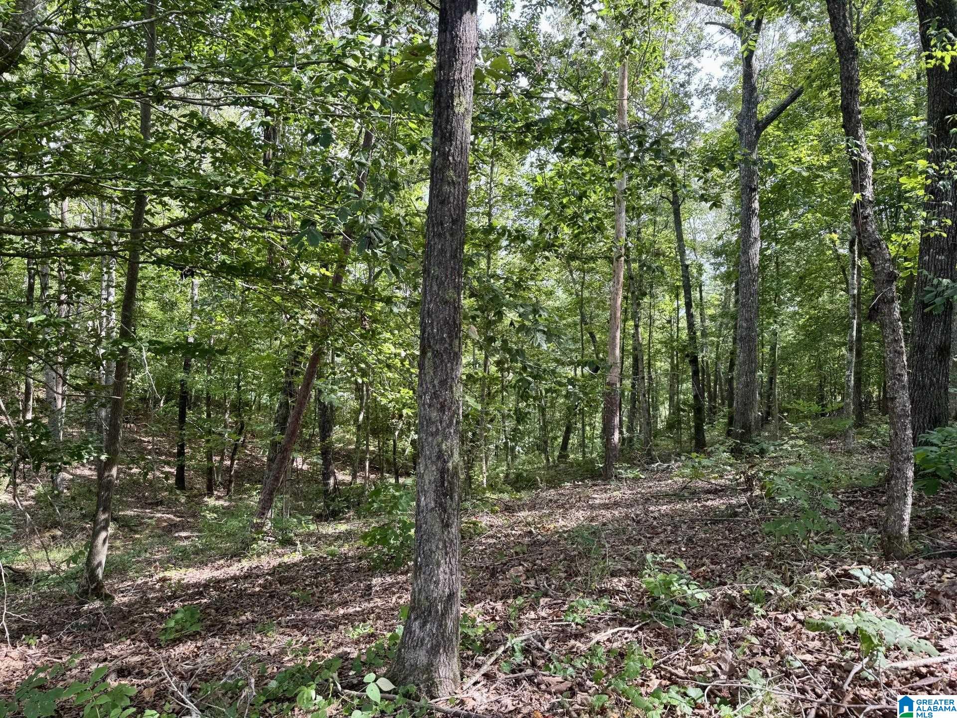 Homes for sale in Wedowee, AL | 0 County Road 897, Wedowee, AL 36278 | MLS# 21424192