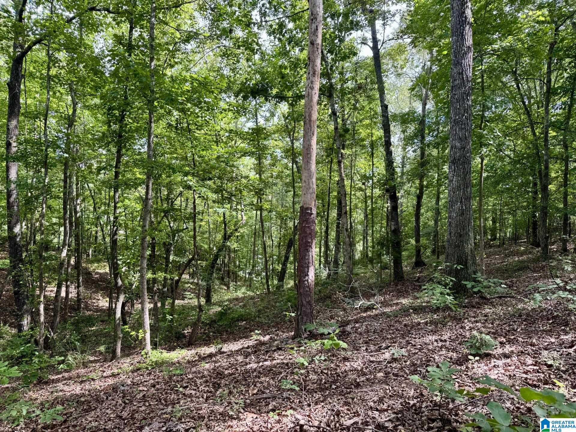 Homes for sale in Wedowee, AL | 0 County Road 897, Wedowee, AL 36278 | MLS# 21424192