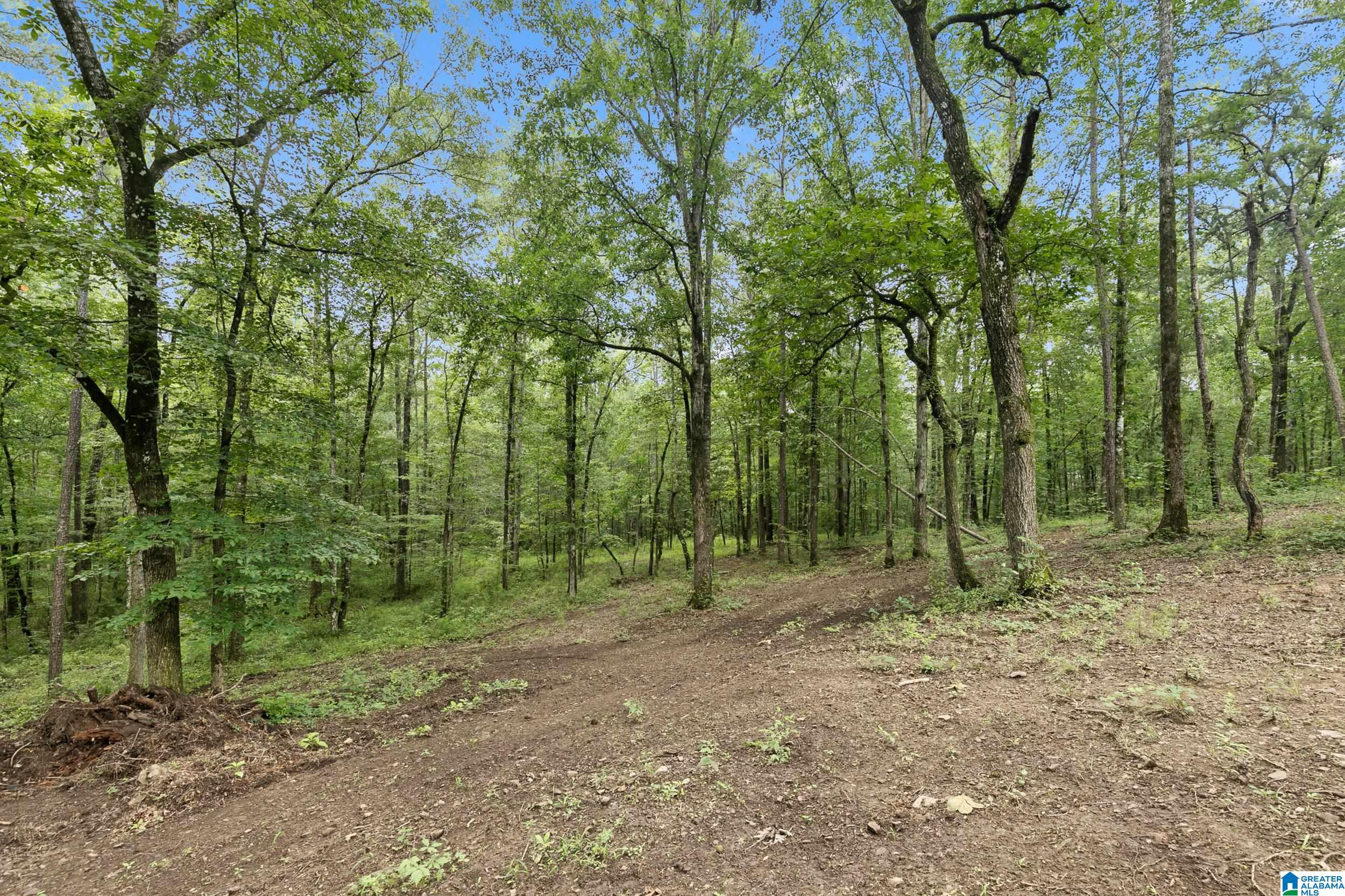 Homes for sale in Columbiana, AL | 980 Hwy 331, Columbiana, AL 35051 | MLS# 21424220