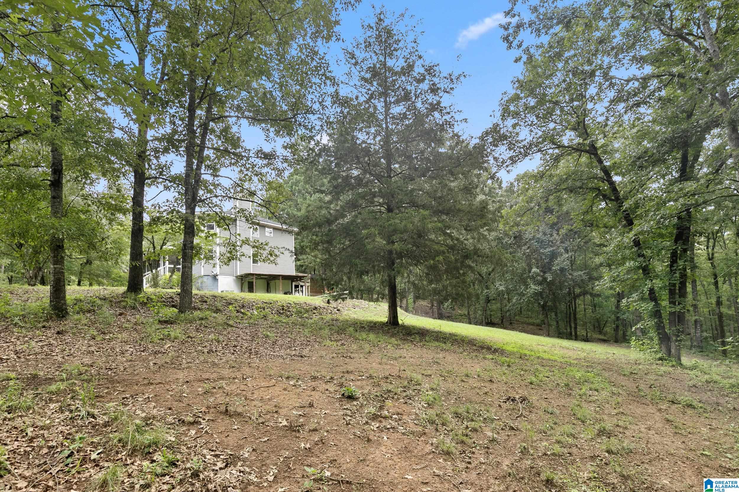 Homes for sale in Columbiana, AL | 980 Hwy 331, Columbiana, AL 35051 | MLS# 21424220