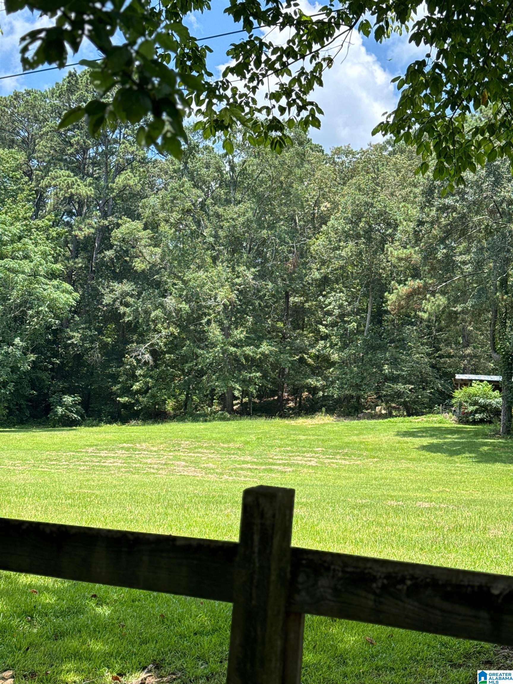 4732 TRUSSVILLE CLAY ROAD