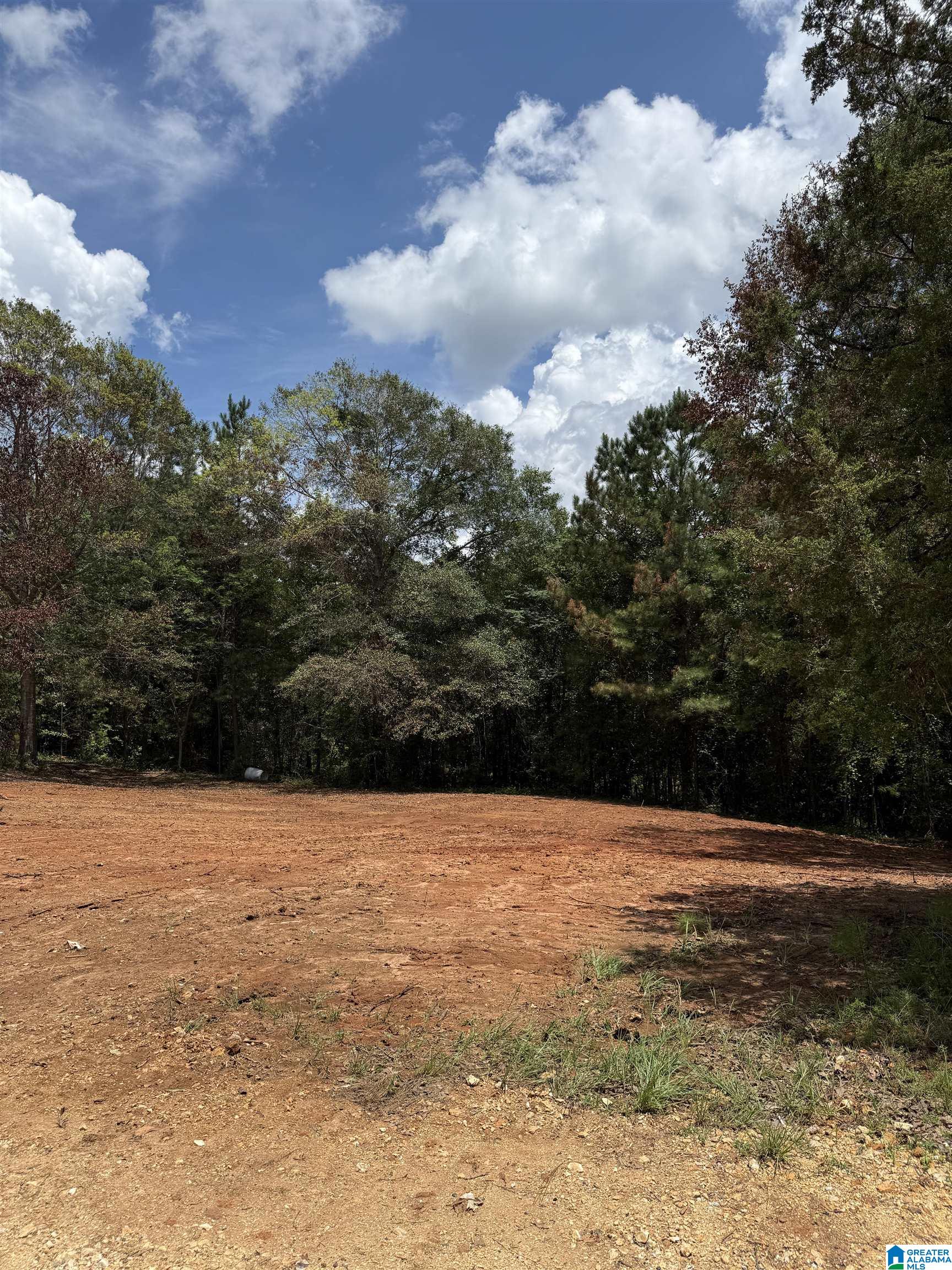 Homes for sale in West Blocton, AL | 2718 Old Woodstock Road, West Blocton, AL 35184 | MLS# 21424649