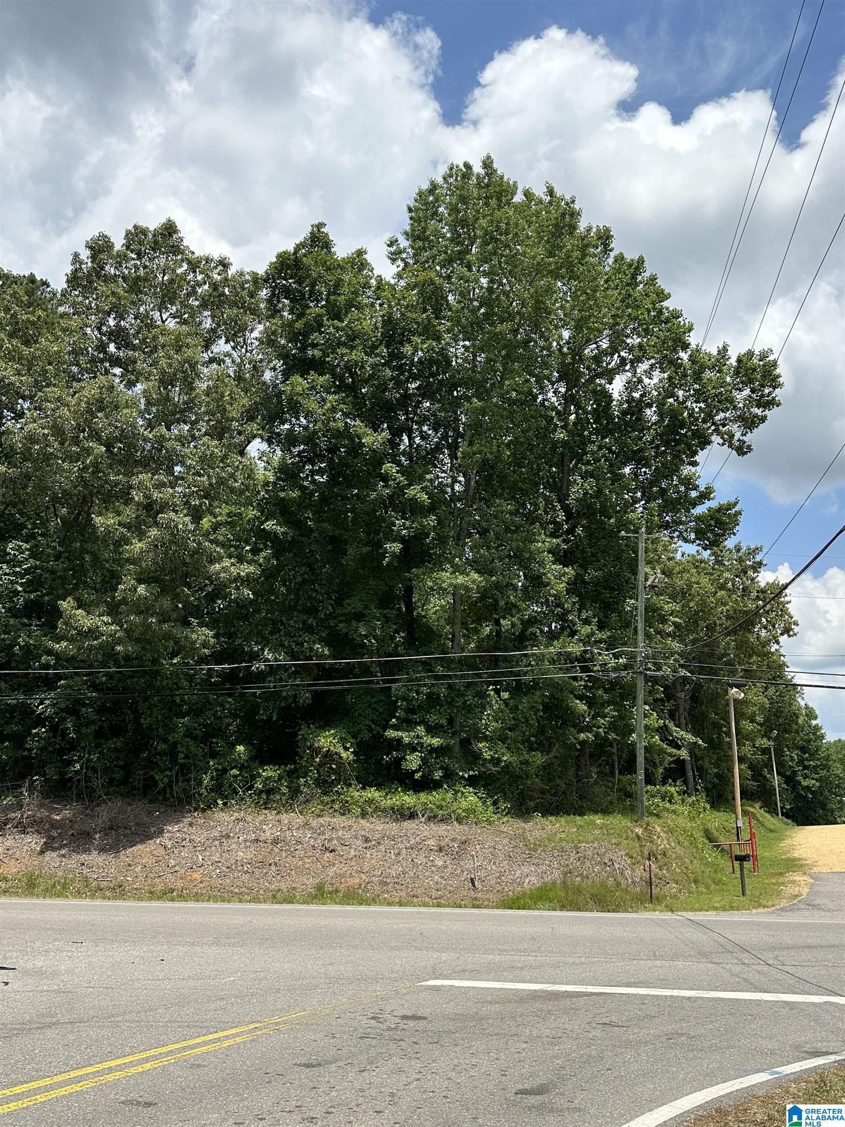 Homes for sale in Jasper, AL | 0 Hwy 69, Jasper, AL 35504 | MLS# 21424851