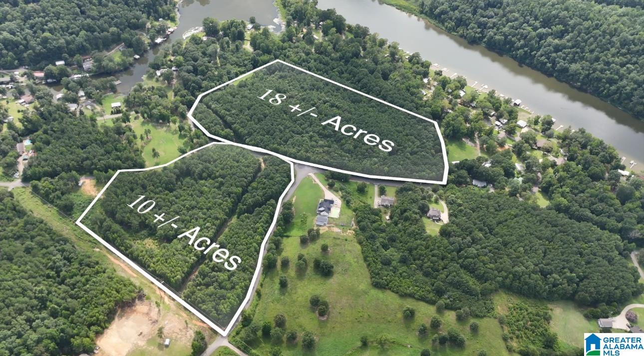 260 BUDDY VINES CAMP ROAD