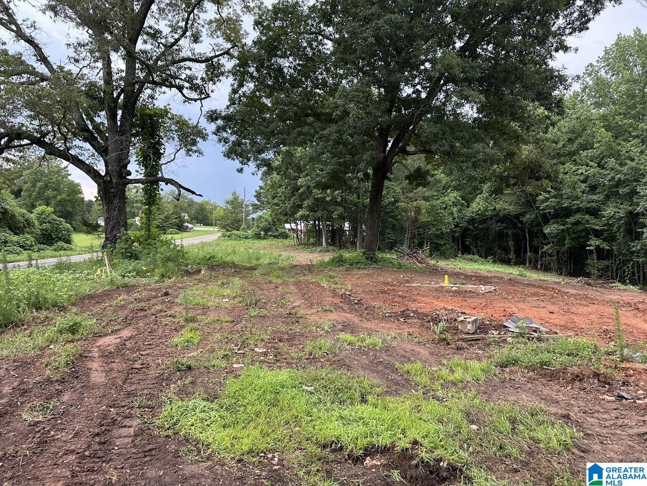 3182 COUNTY ROAD 61