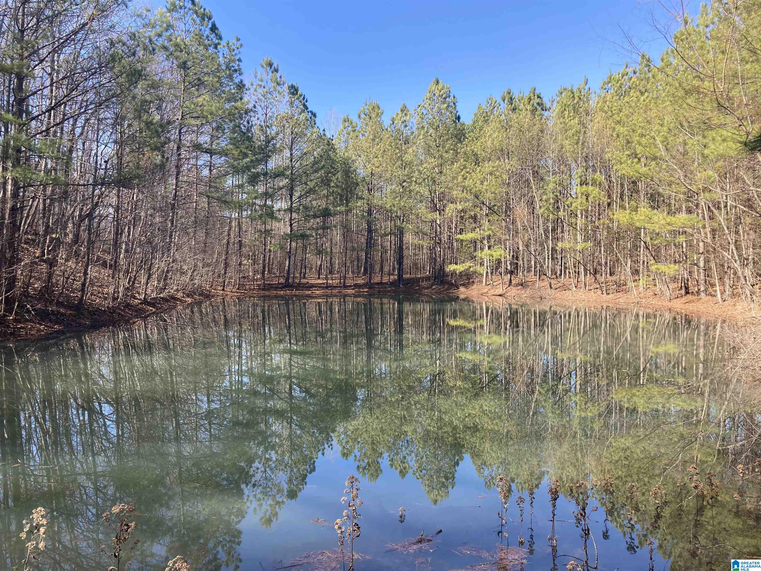 143 ROCKY HOLLOW LANE