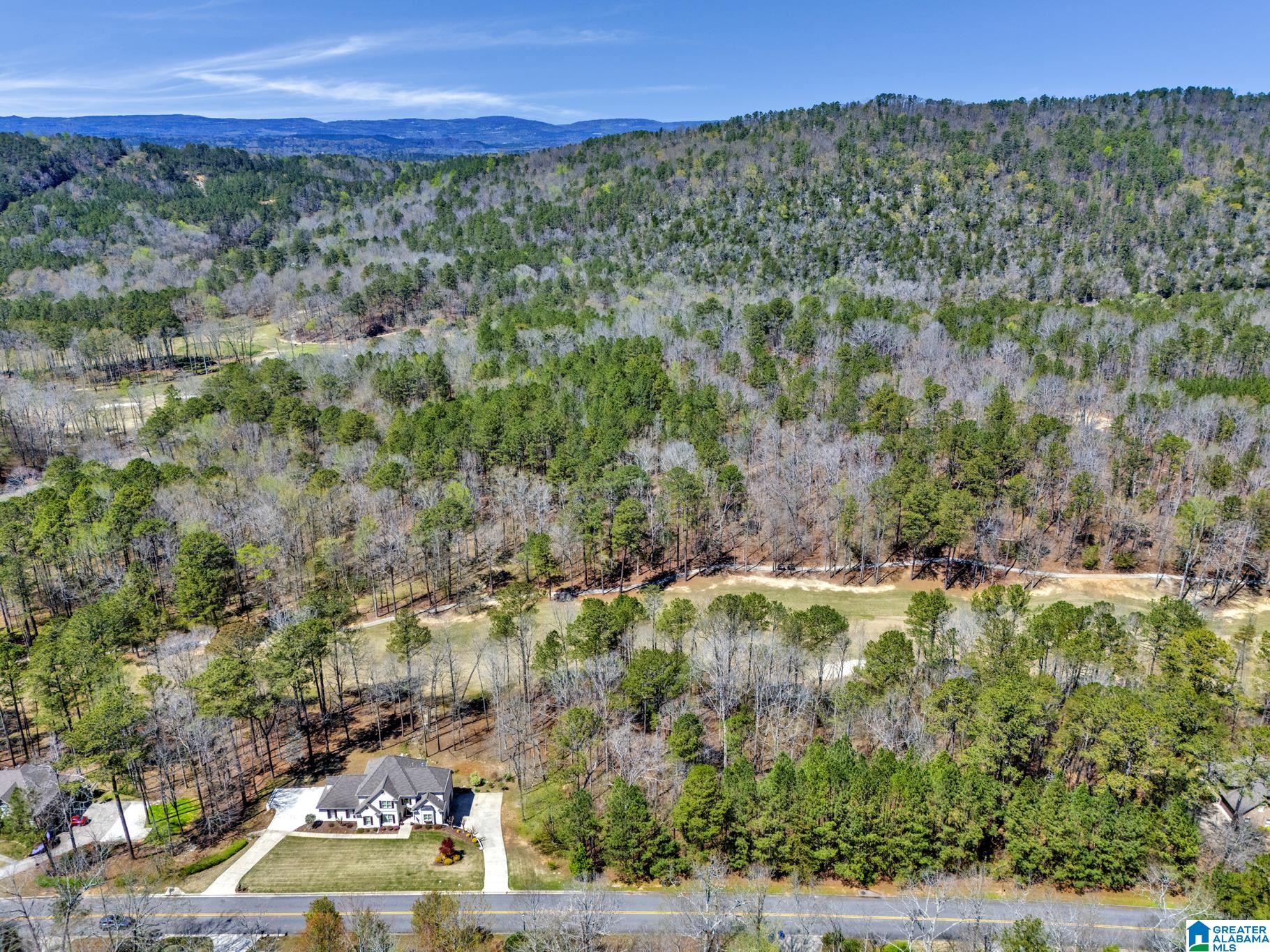 Homes for sale in Oneonta, AL | 433 Saint Andrews Parkway, Oneonta, AL 35121 | MLS# 21425178