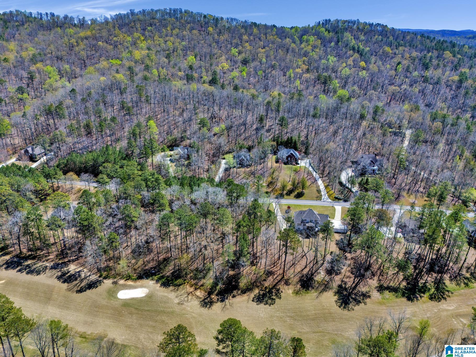Homes for sale in Oneonta, AL | 433 Saint Andrews Parkway, Oneonta, AL 35121 | MLS# 21425178