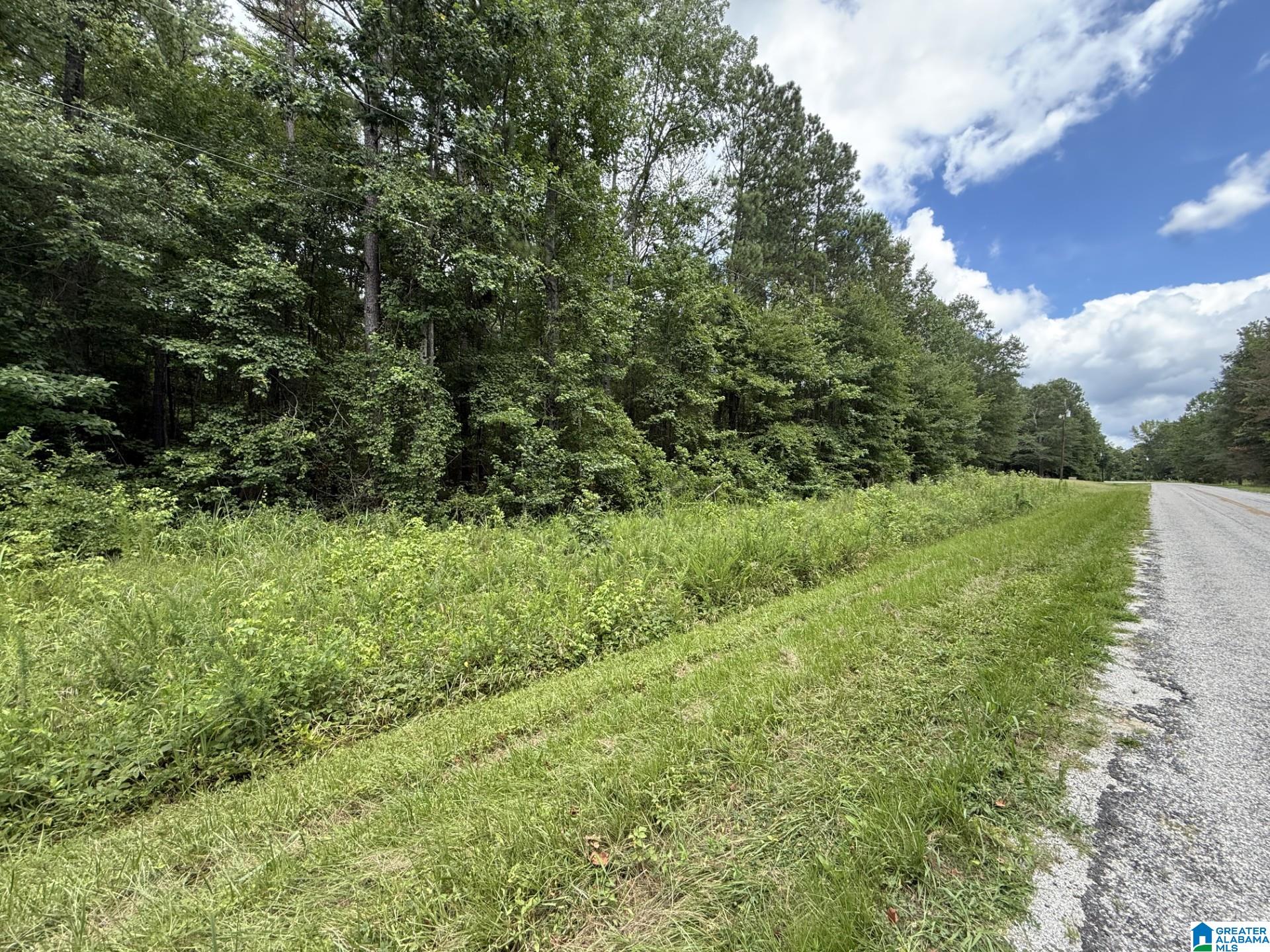 Tract 2 COUNTY ROAD 103