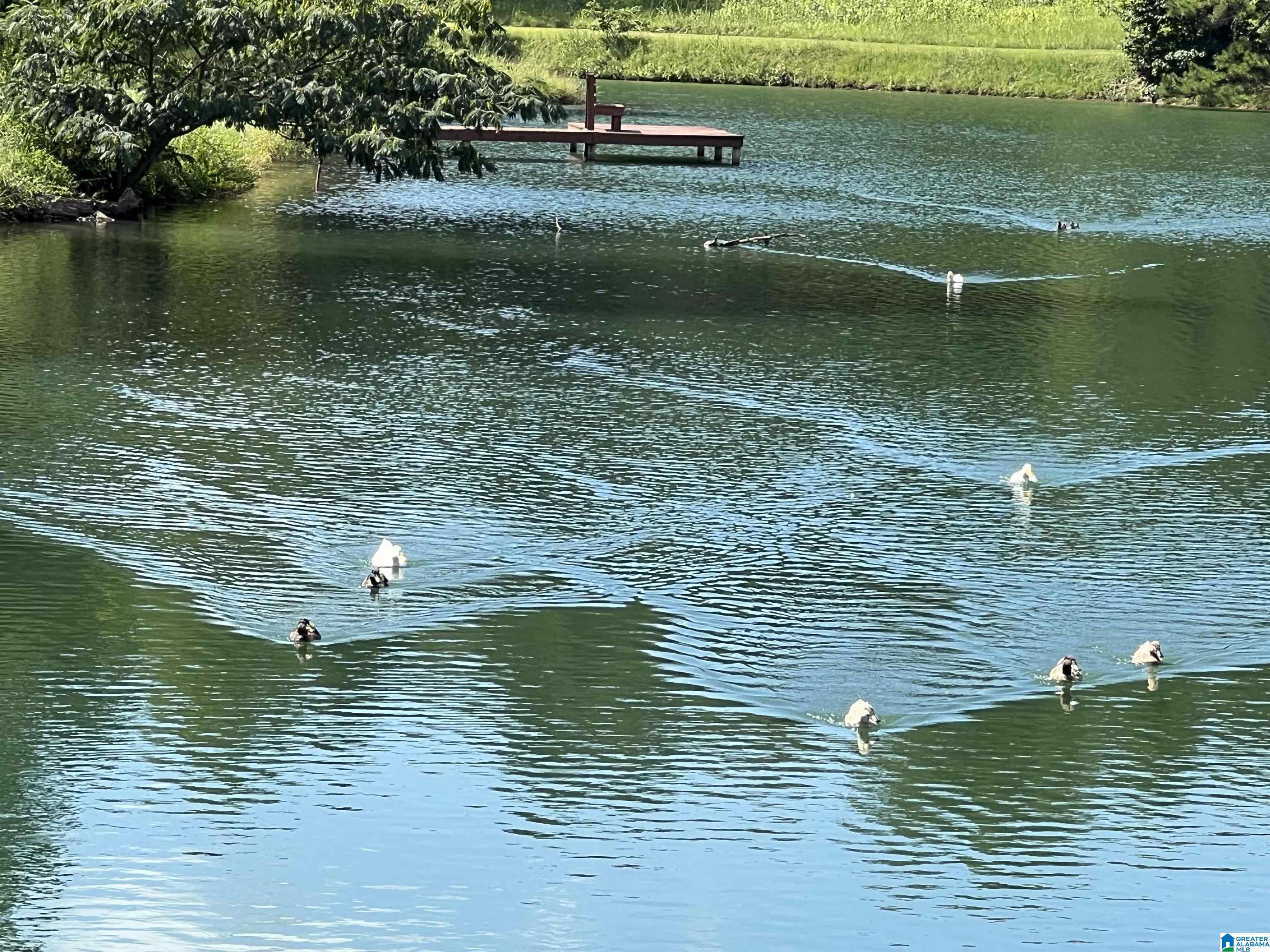 Homes for sale in Springville, AL | 845 Redhawk Ridge, Springville, AL 35146 | MLS# 21425326