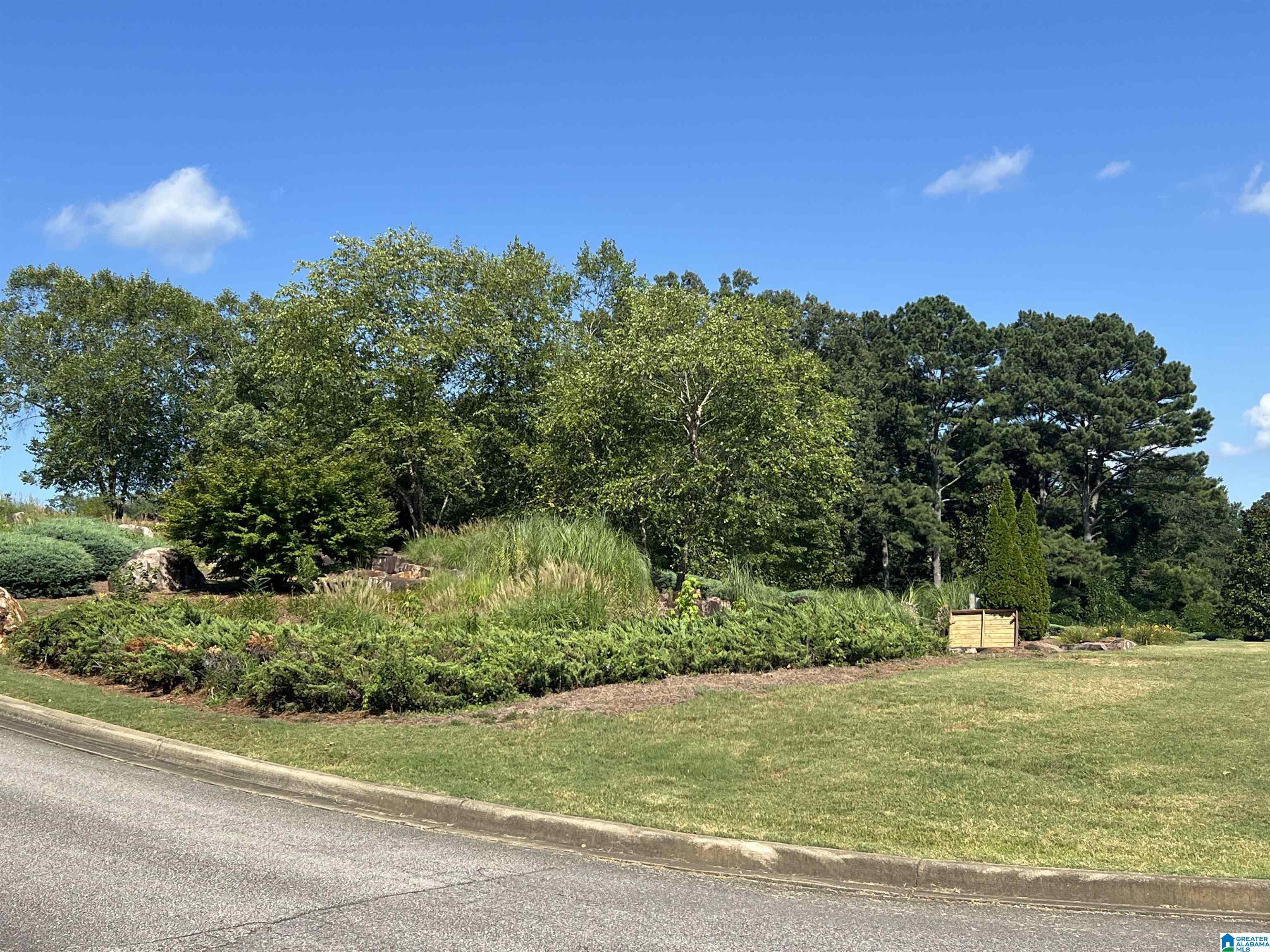 Homes for sale in Springville, AL | 845 Redhawk Ridge, Springville, AL 35146 | MLS# 21425326