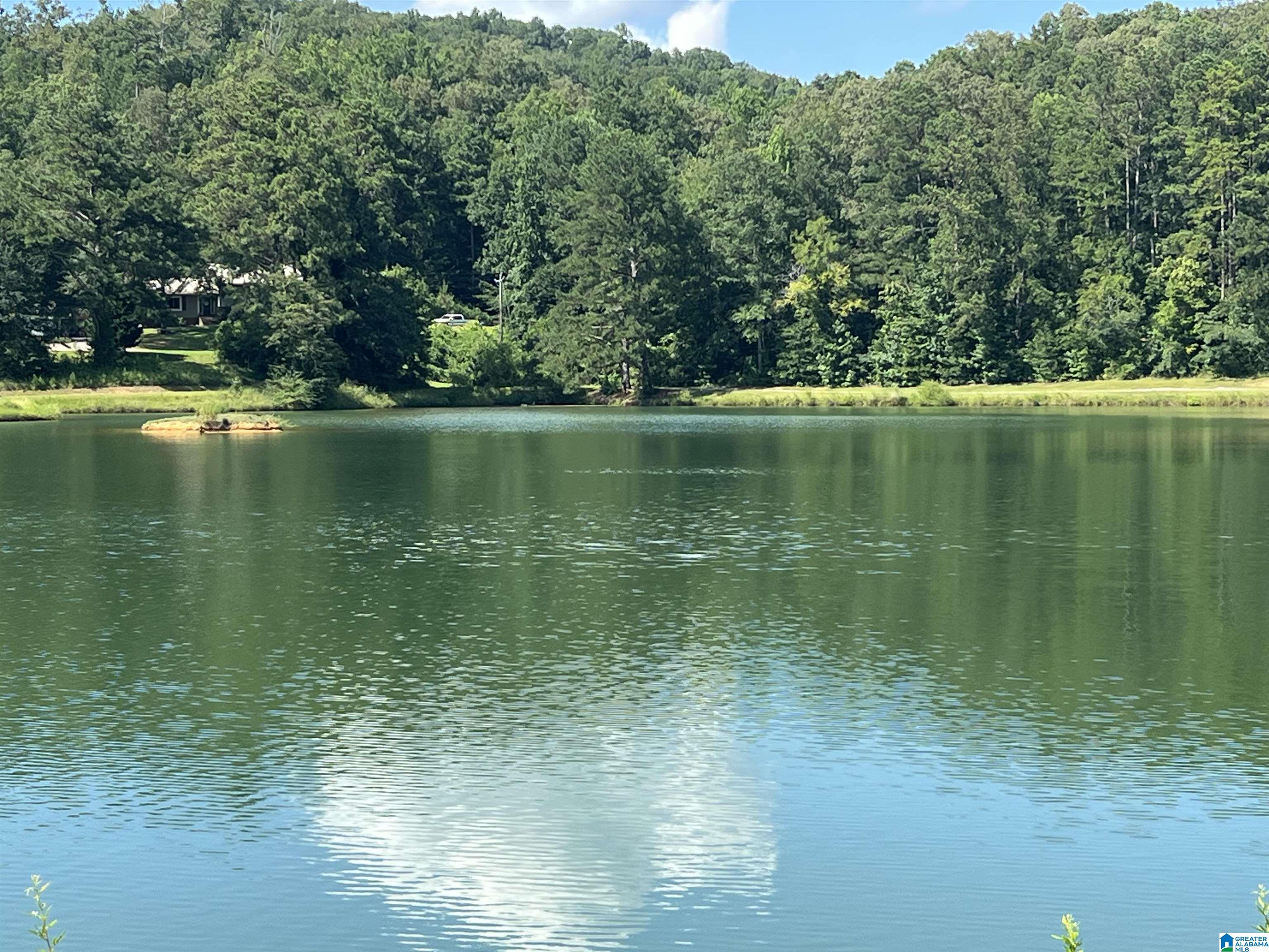 Homes for sale in Springville, AL | 845 Redhawk Ridge, Springville, AL 35146 | MLS# 21425326