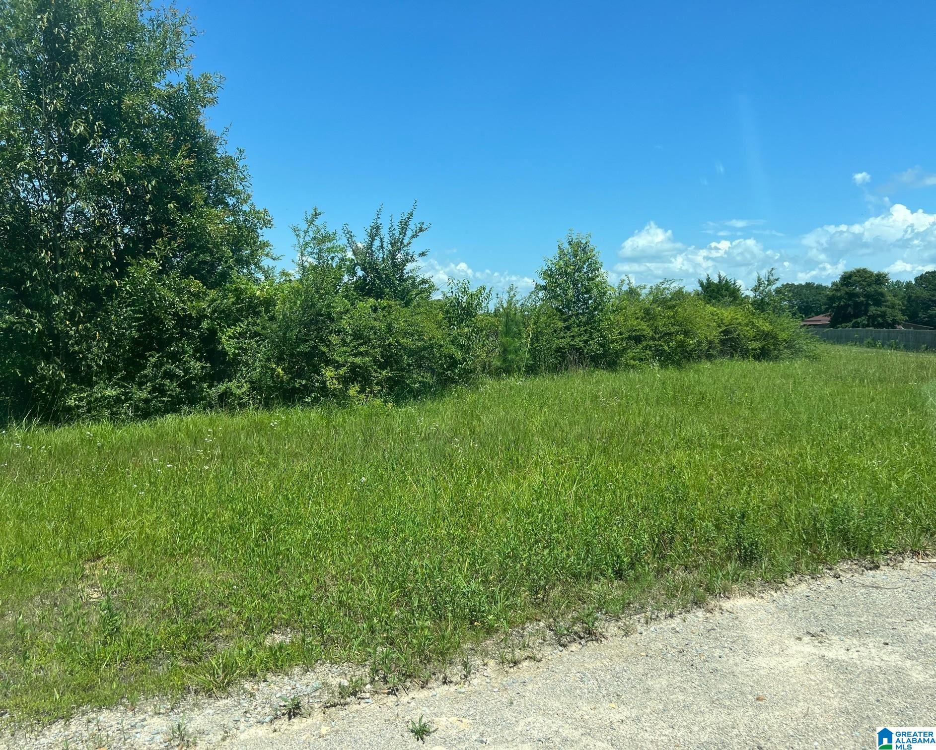 Homes for sale in Vincent, AL | Plum Creek Dr, Vincent, AL 35178 | MLS# 21425492