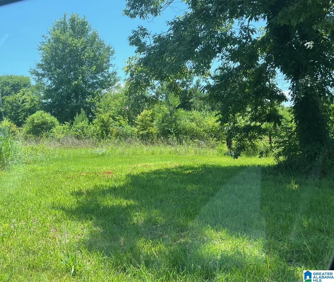 Homes for sale in Vincent, AL | Plum Creek Dr, Vincent, AL 35178 | MLS# 21425492