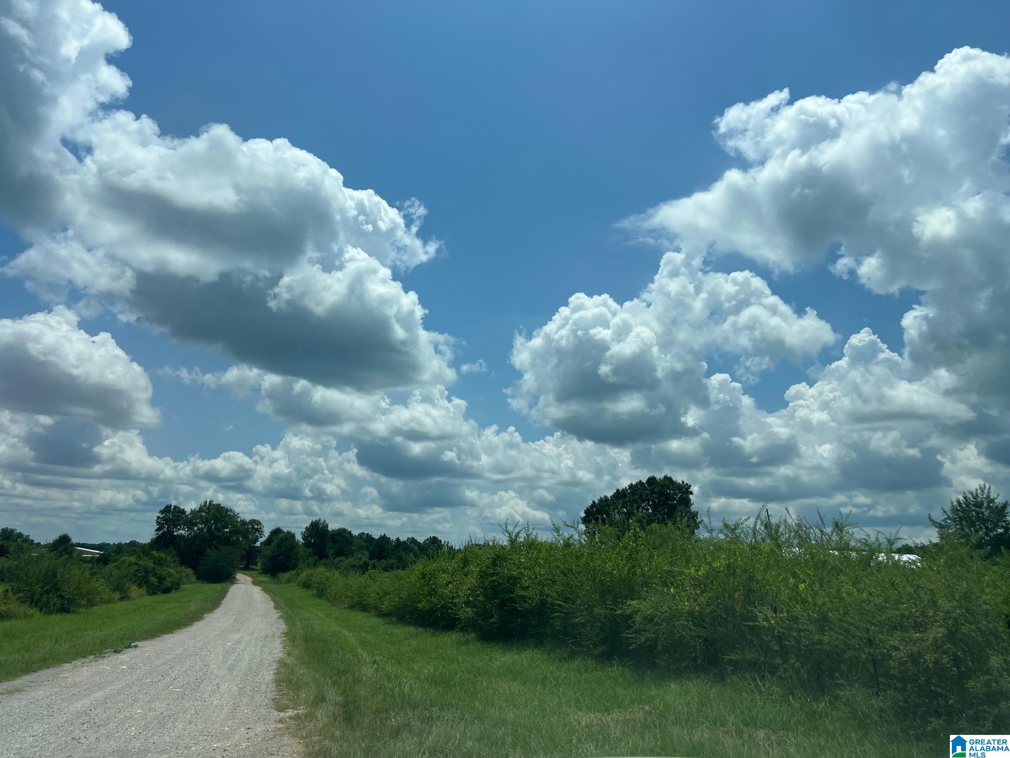 Homes for sale in Vincent, AL | Plum Creek Dr, Vincent, AL 35178 | MLS# 21425492