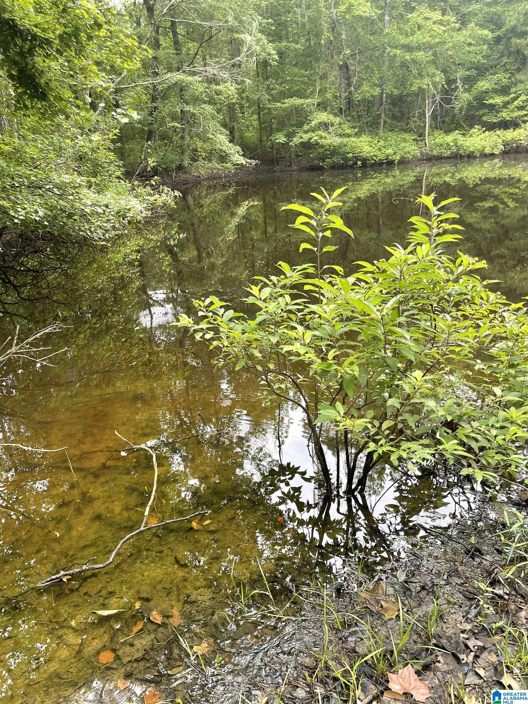 Homes for sale in Vandiver, AL | #1 Hwy 55, Vandiver, AL 35176 | MLS# 21425642