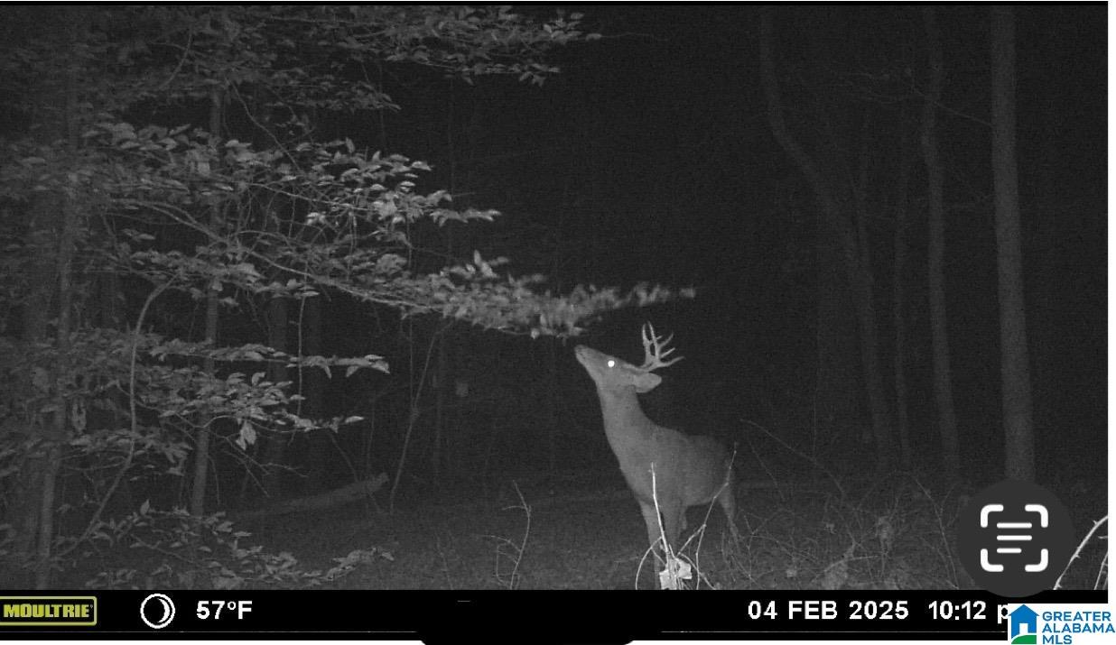 Homes for sale in Vandiver, AL | #1 Hwy 55, Vandiver, AL 35176 | MLS# 21425642