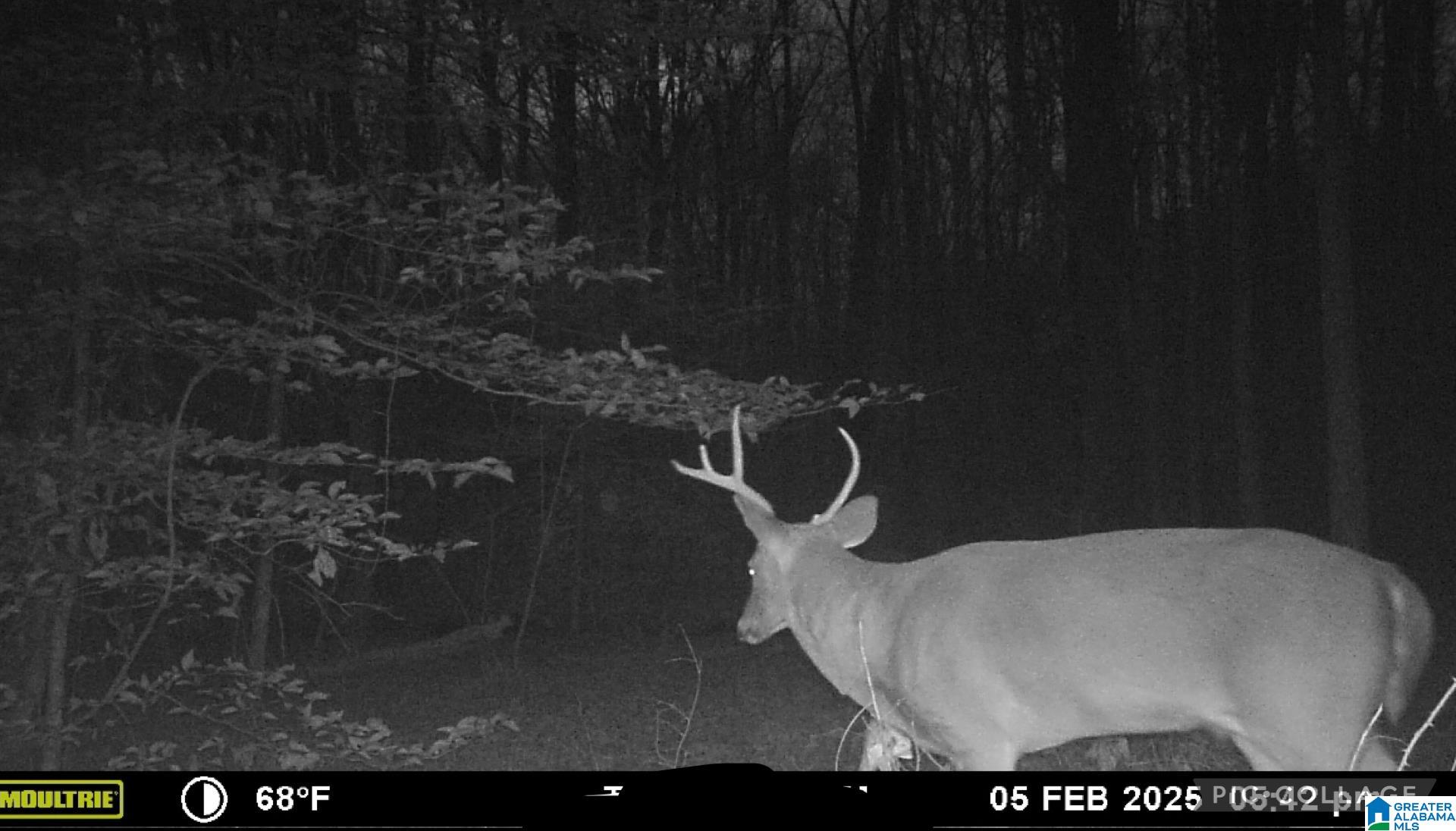 Homes for sale in Vandiver, AL | #1 Hwy 55, Vandiver, AL 35176 | MLS# 21425642