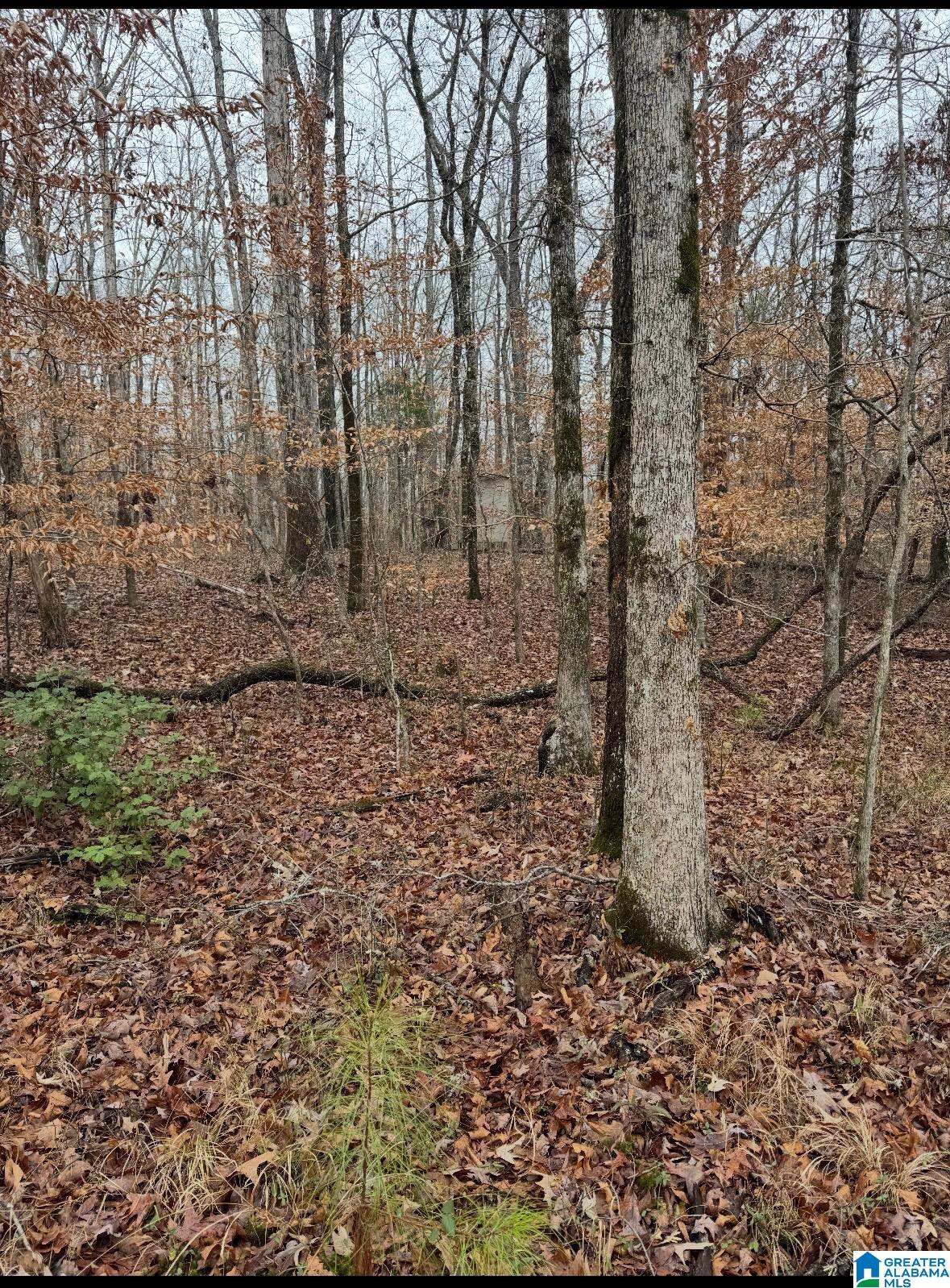 Homes for sale in Vandiver, AL | #1 Hwy 55, Vandiver, AL 35176 | MLS# 21425642