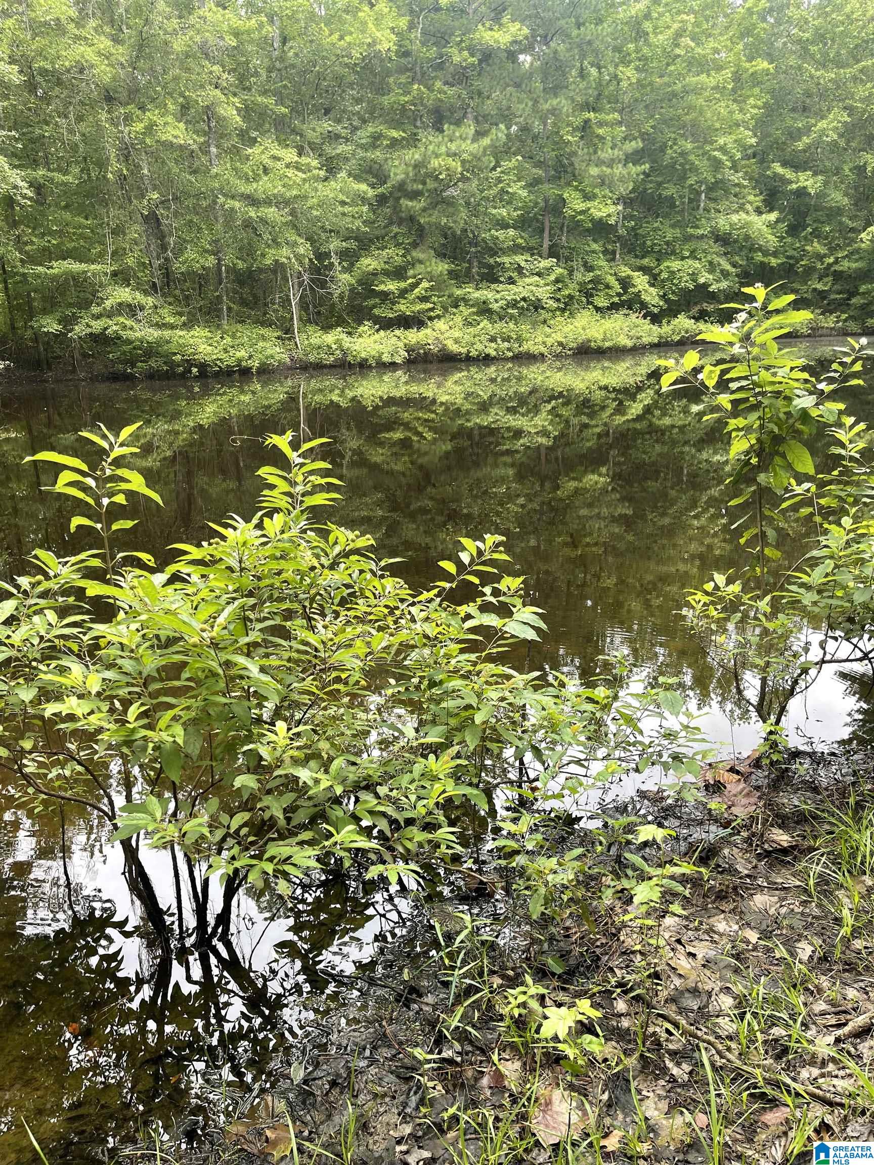 Homes for sale in Vandiver, AL | #1 Hwy 55, Vandiver, AL 35176 | MLS# 21425642