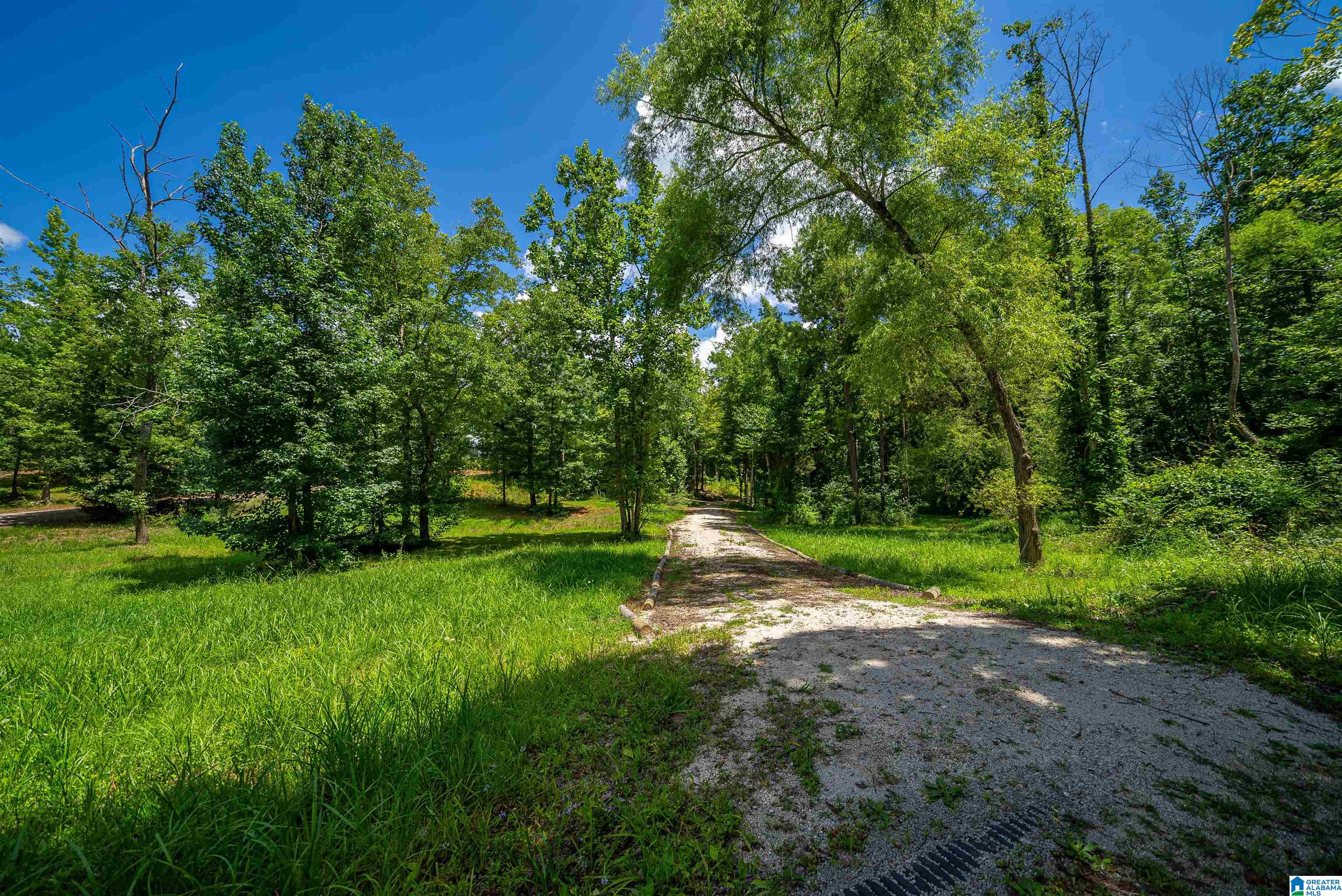 Homes for sale in Piedmont, AL | 0 County Road 336, Piedmont, AL 36272 | MLS# 21425819