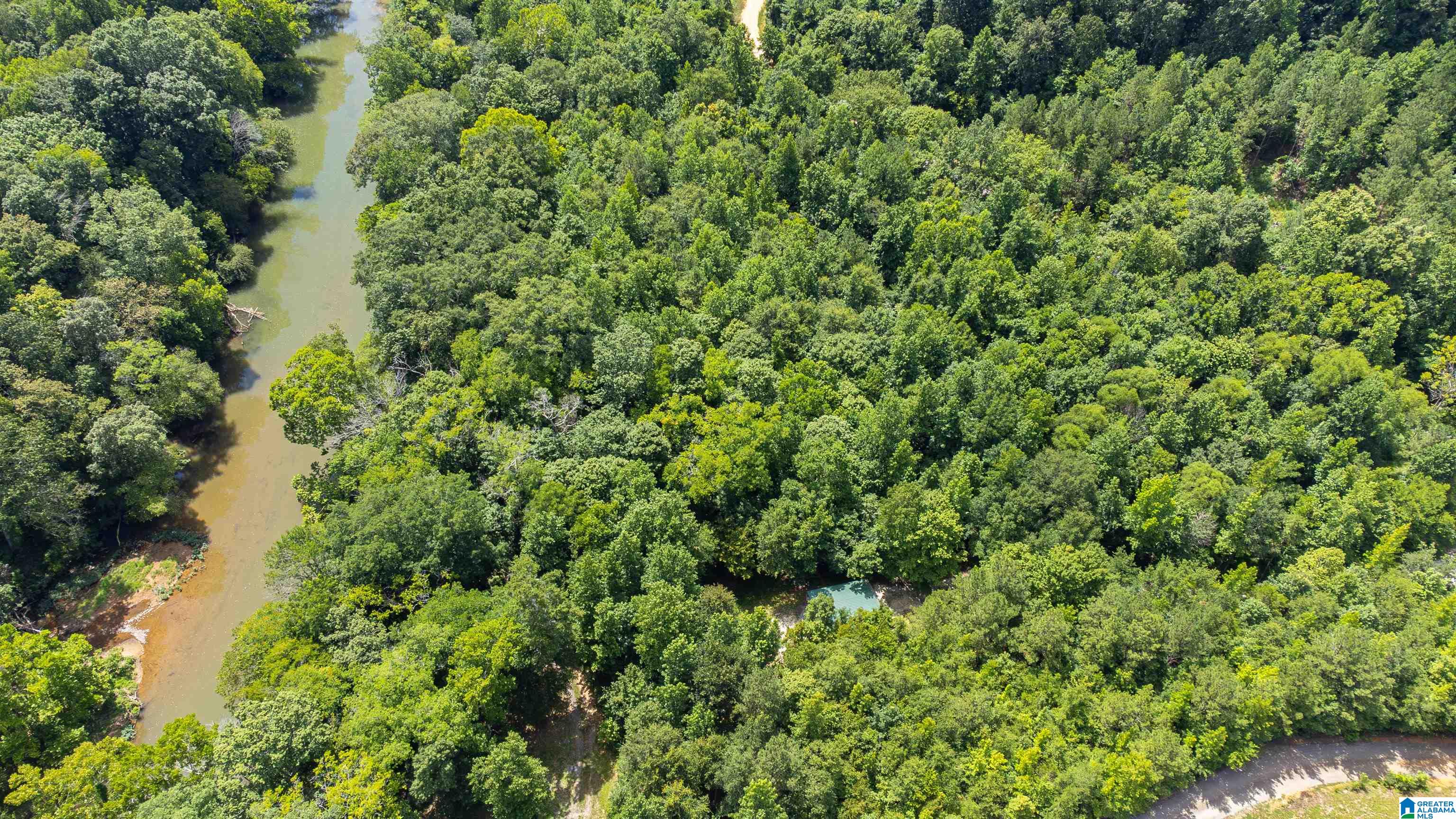 Homes for sale in Piedmont, AL | 0 County Road 336, Piedmont, AL 36272 | MLS# 21425819