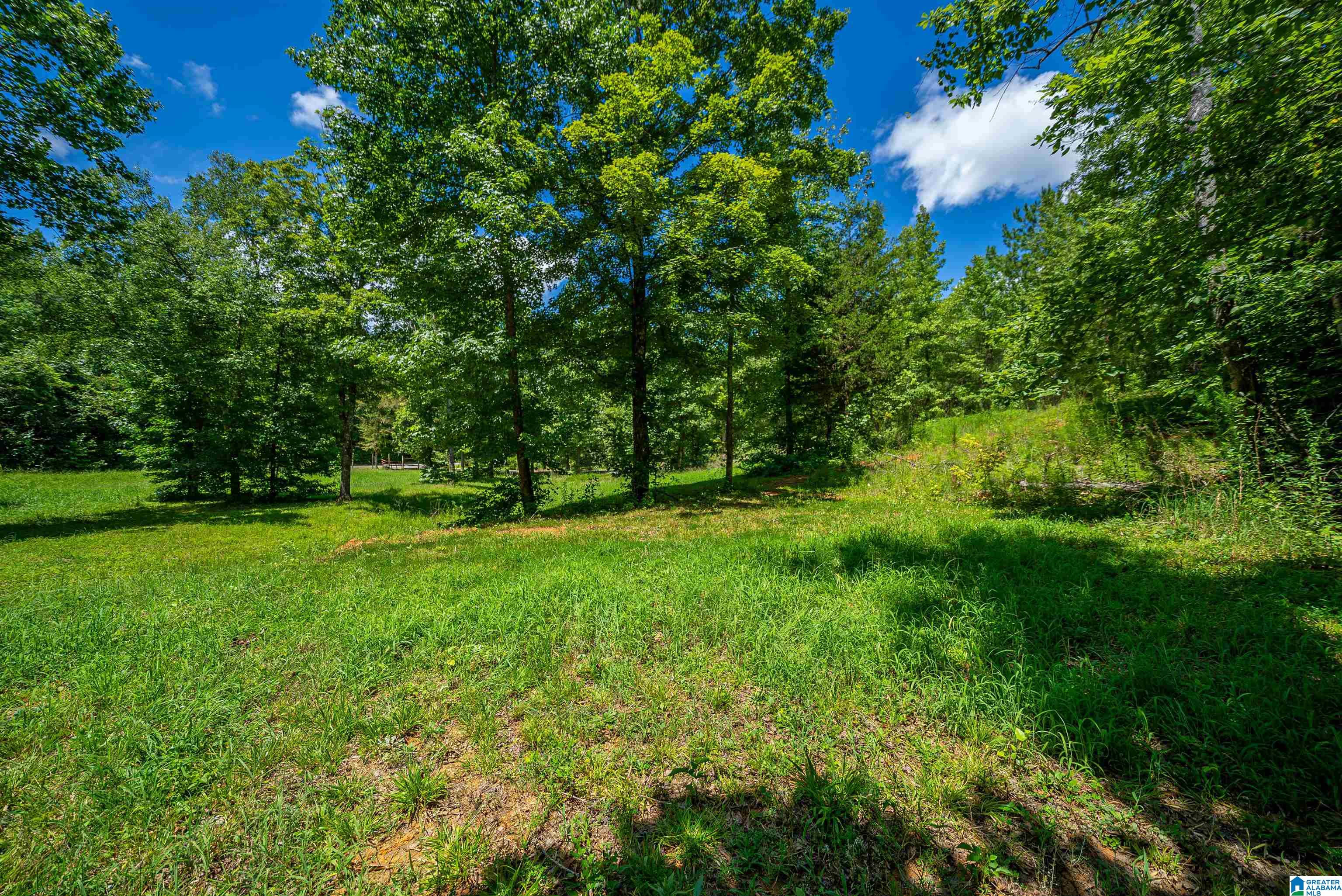 Homes for sale in Piedmont, AL | 0 County Road 336, Piedmont, AL 36272 | MLS# 21425819