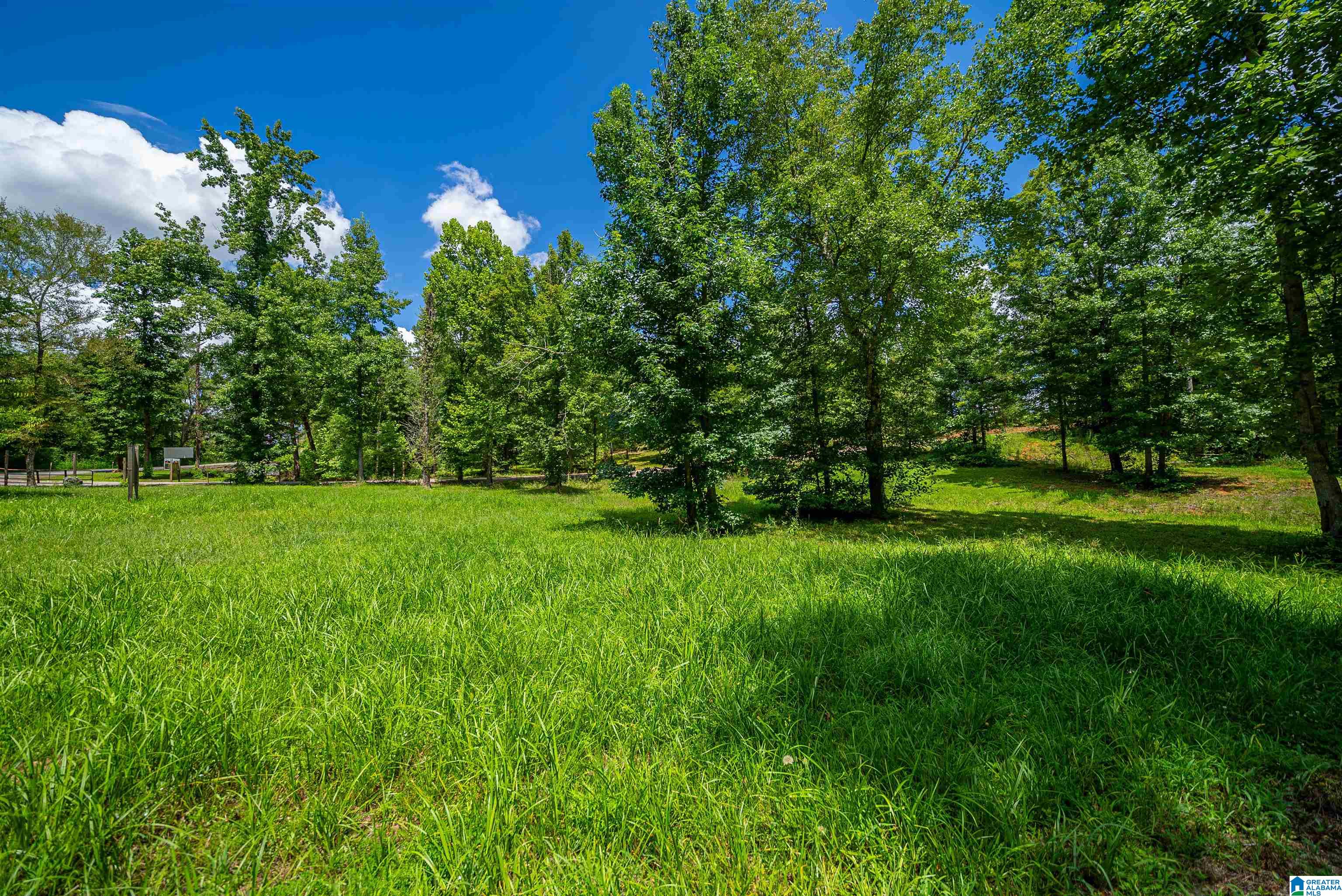 Homes for sale in Piedmont, AL | 0 County Road 336, Piedmont, AL 36272 | MLS# 21425819