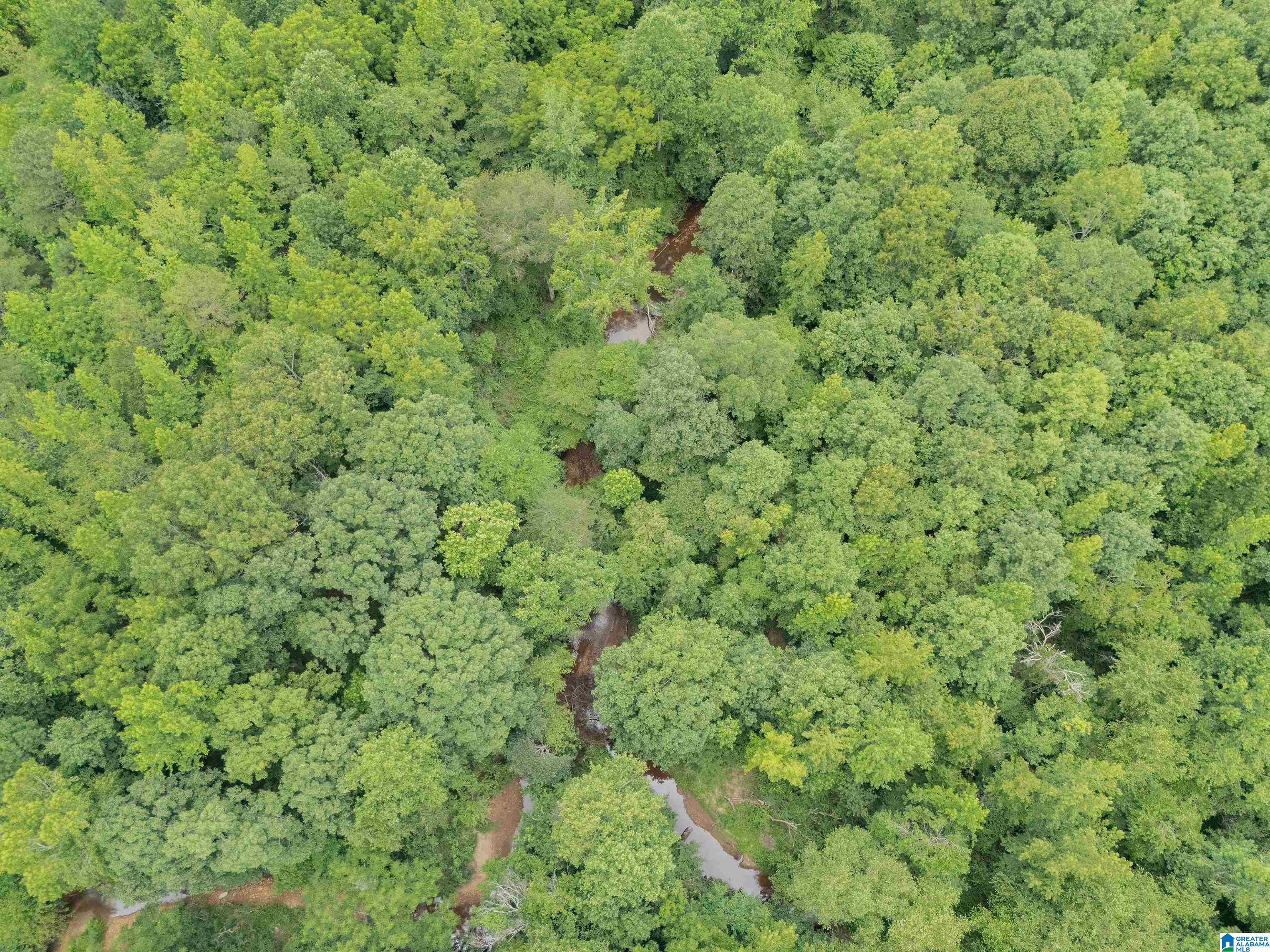 0 County Road 475 0