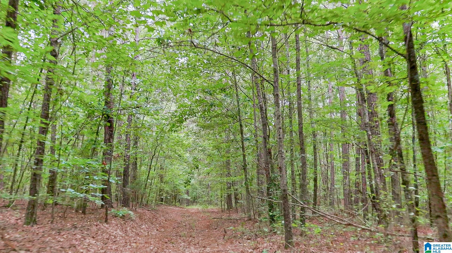 0 County Road 475 0