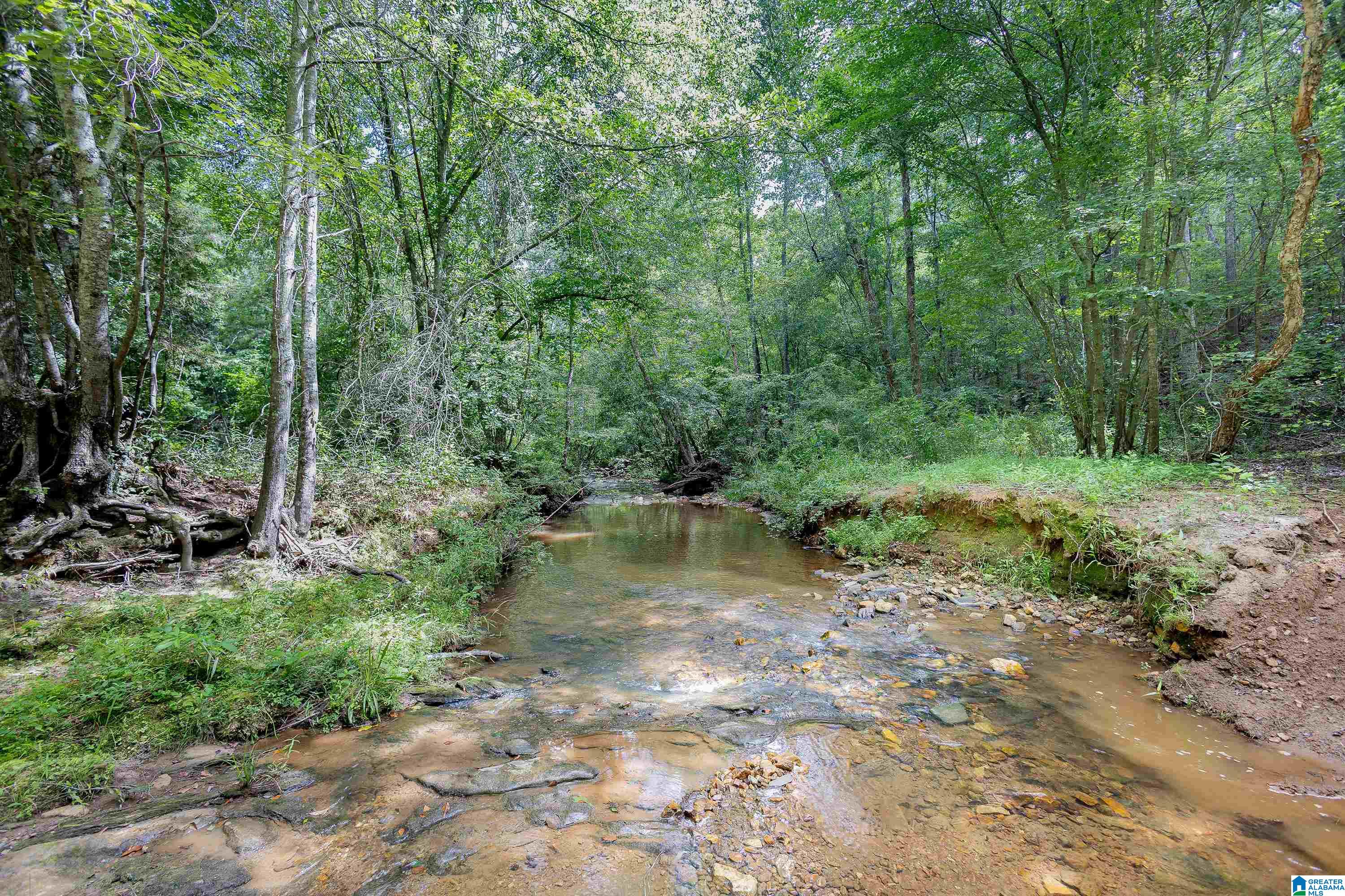 0 County Road 475 0