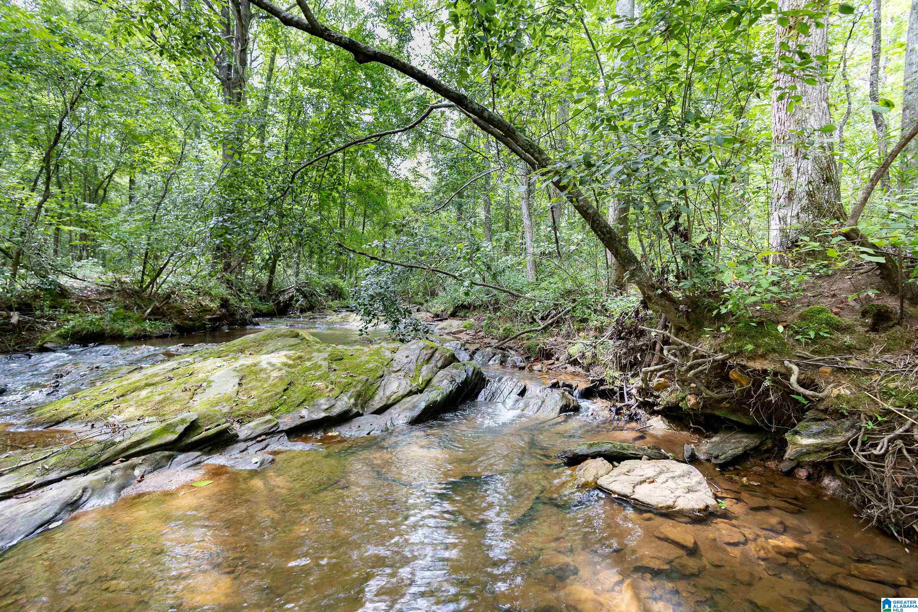0 County Road 475 0