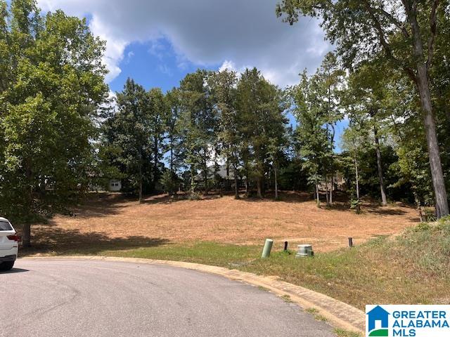 Homes for sale in Chelsea, AL | 149 Bolivar Circle, Chelsea, AL 35043 | MLS# 21425873