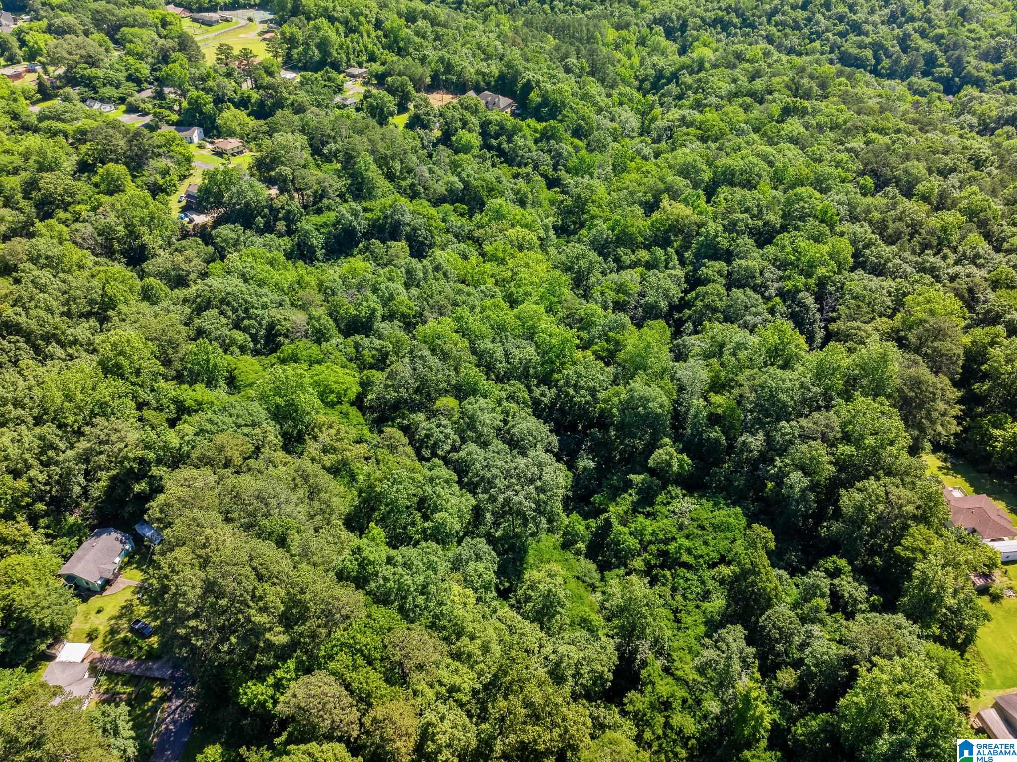 Homes for sale in Graysville, AL | 399 12Th Avenue Se, Graysville, AL 35073 | MLS# 21425914