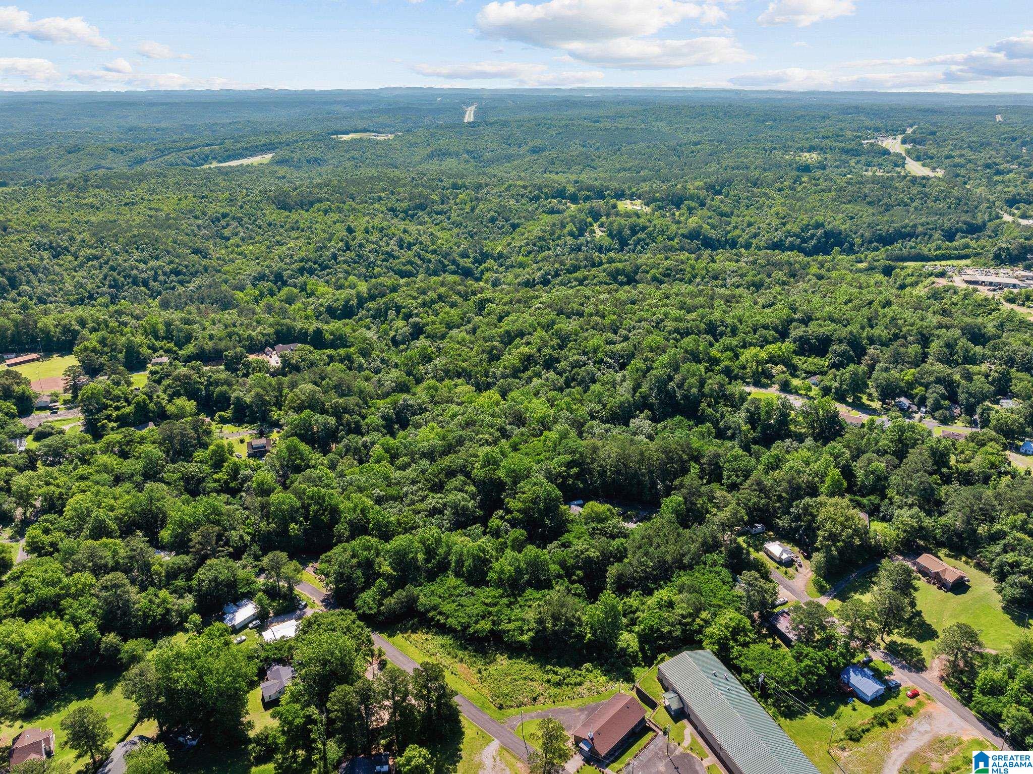 Homes for sale in Graysville, AL | 399 12Th Avenue Se, Graysville, AL 35073 | MLS# 21425914