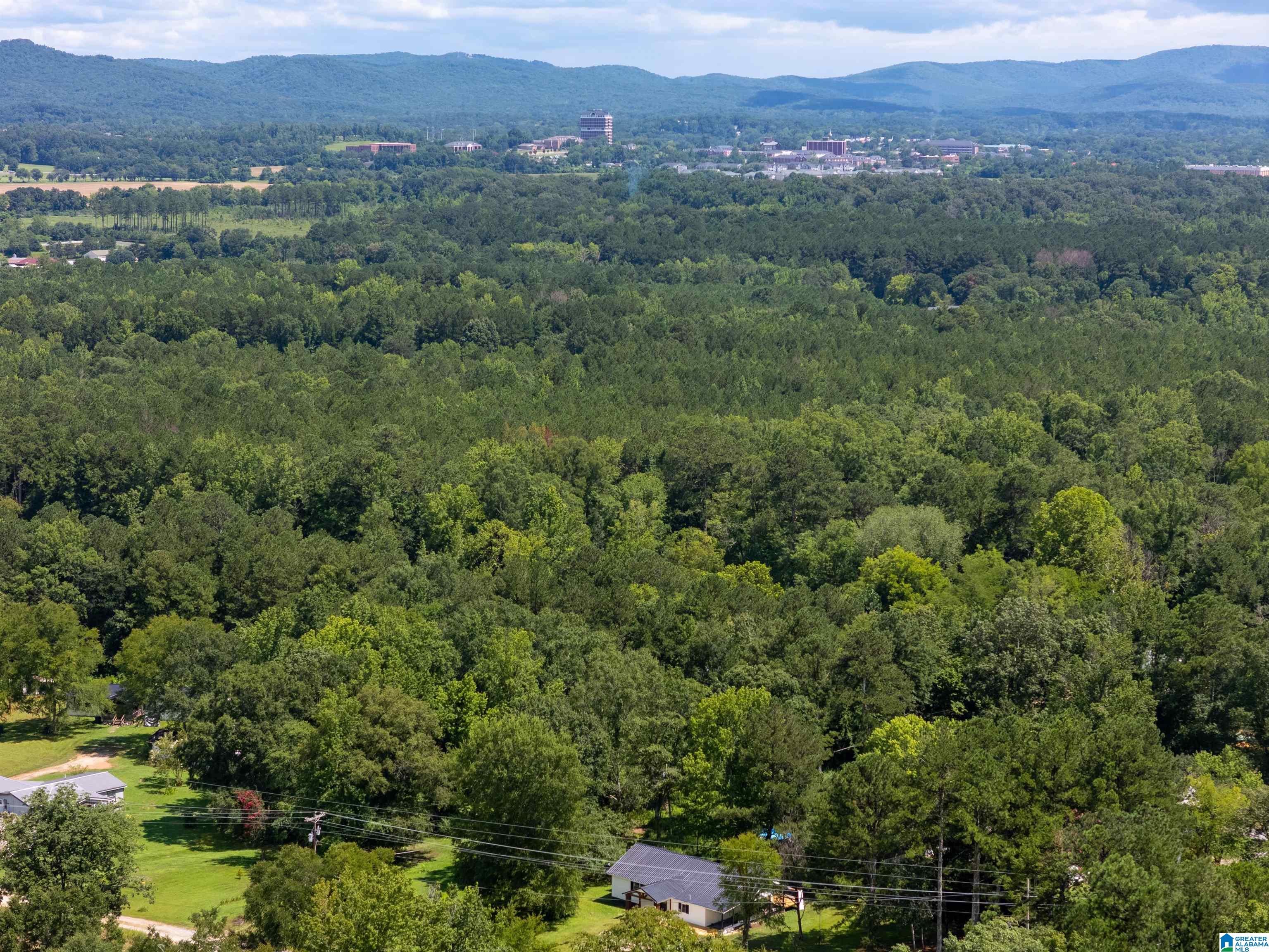 Homes for sale in Jacksonville, AL | 1890 Nisbet Lake Road, Jacksonville, AL 36265 | MLS# 21425953